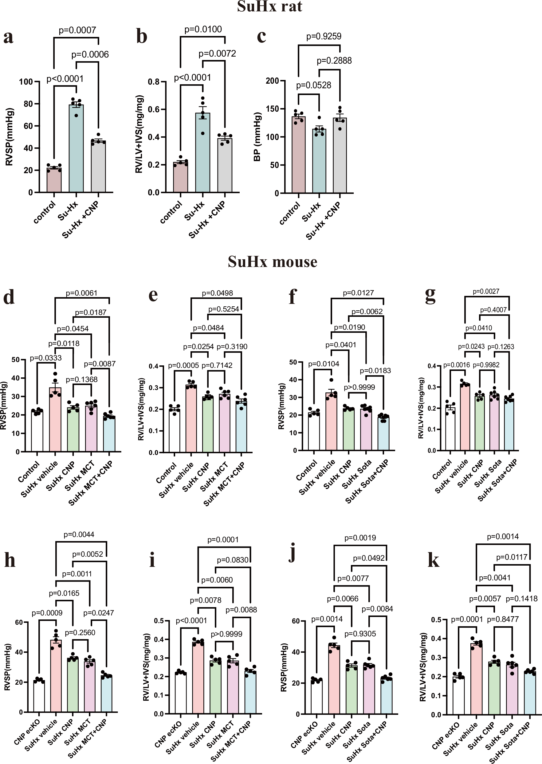 Fig. 10: Therapeutic effects of CNP-53 in SuHx rodent models and its additive benefits with established therapies.