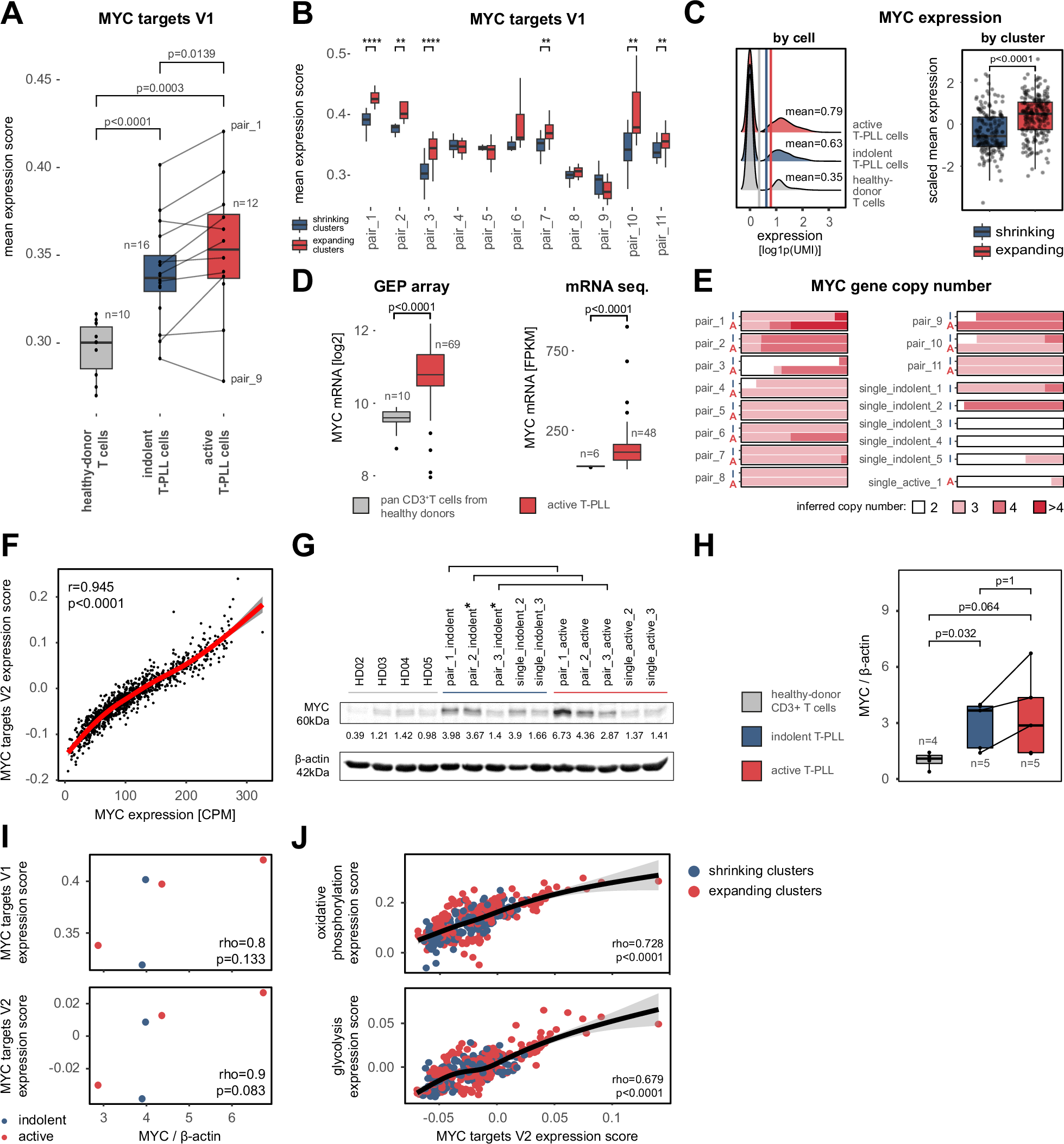 Fig. 3: Enhanced MYC target expression is associated with T-PLL progression.