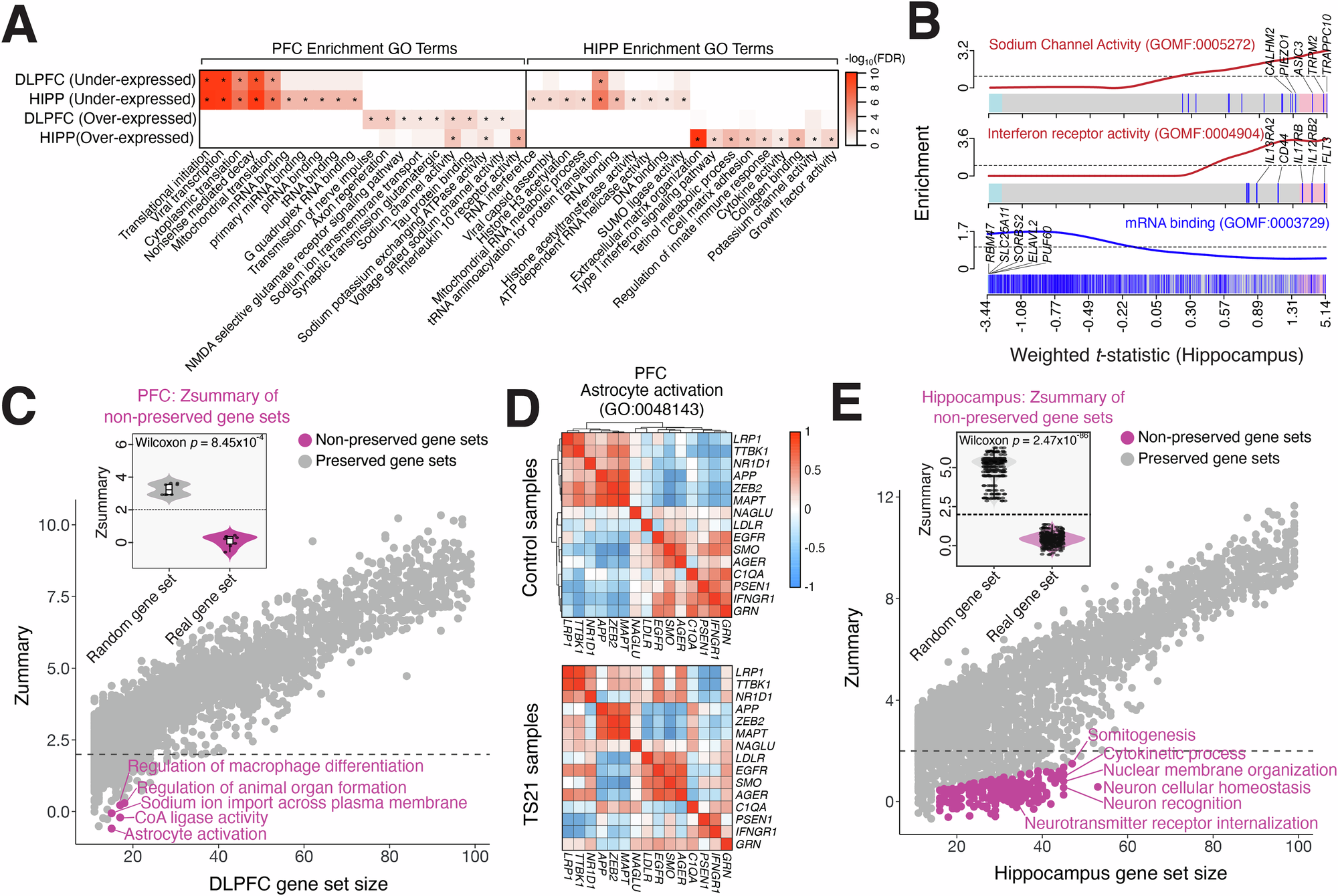 Fig. 3: Functional annotation and systems-level disorganization of T21-associated transcriptomic changes.