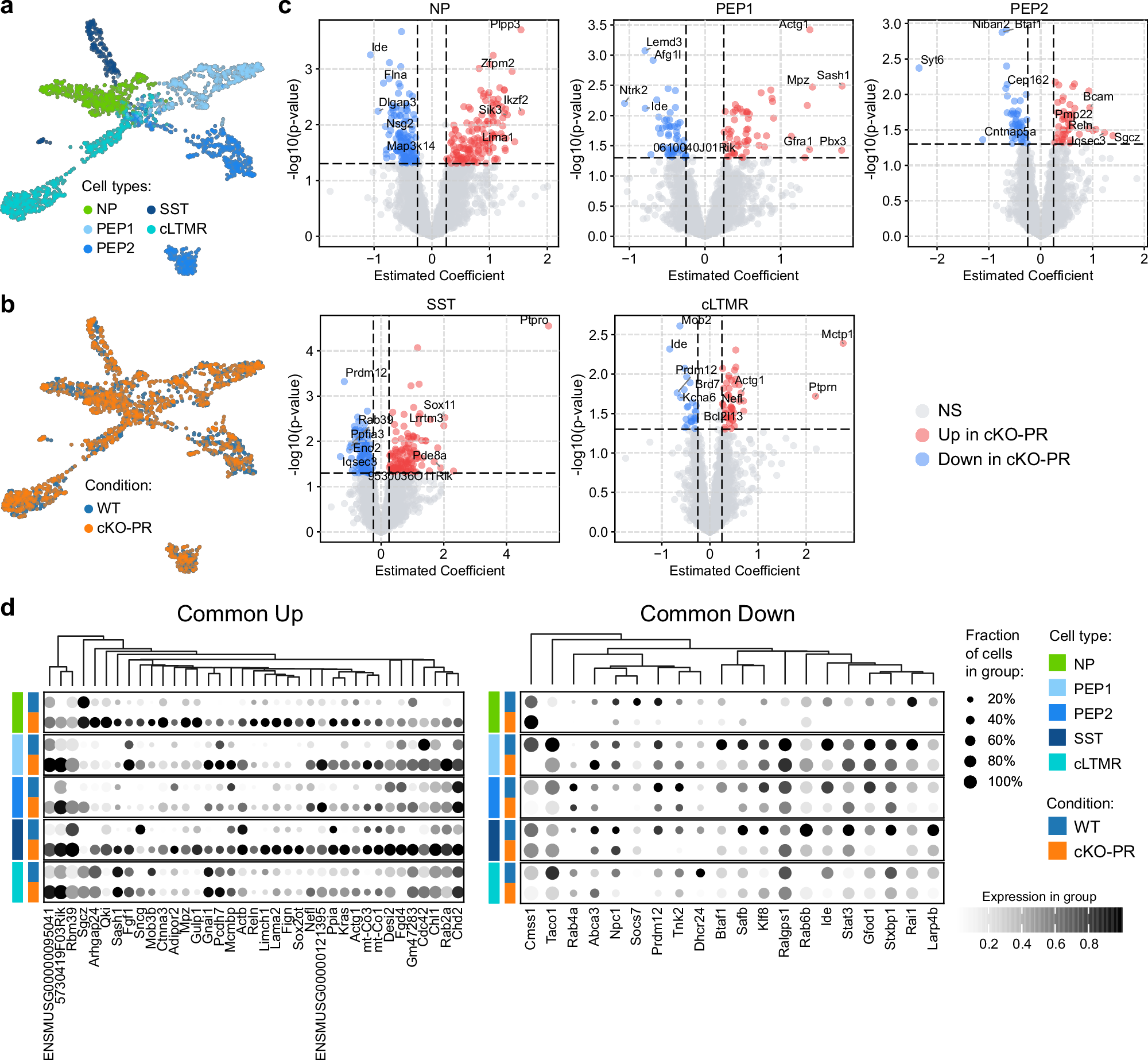 Fig. 4: Molecular profiling of Prdm12CreERT2; Rnase4fl/fl Nociceptors.