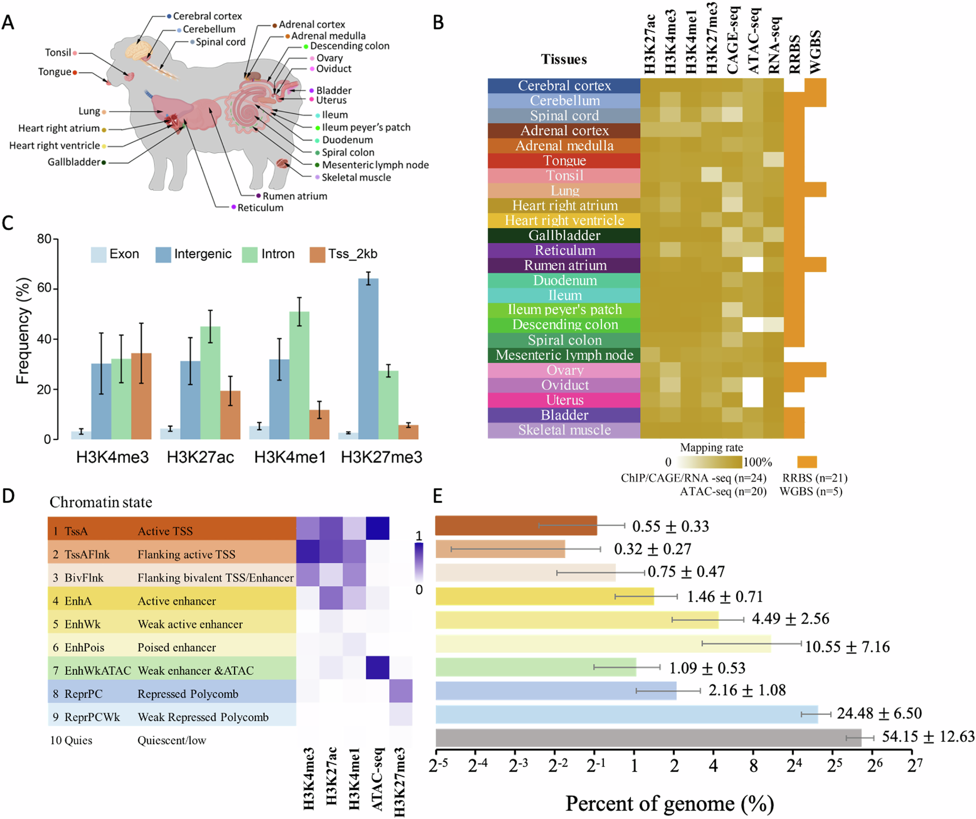 羊の遺伝子制御機構の詳細マップ作成（New study offers insight into gene regulation of sheep）
