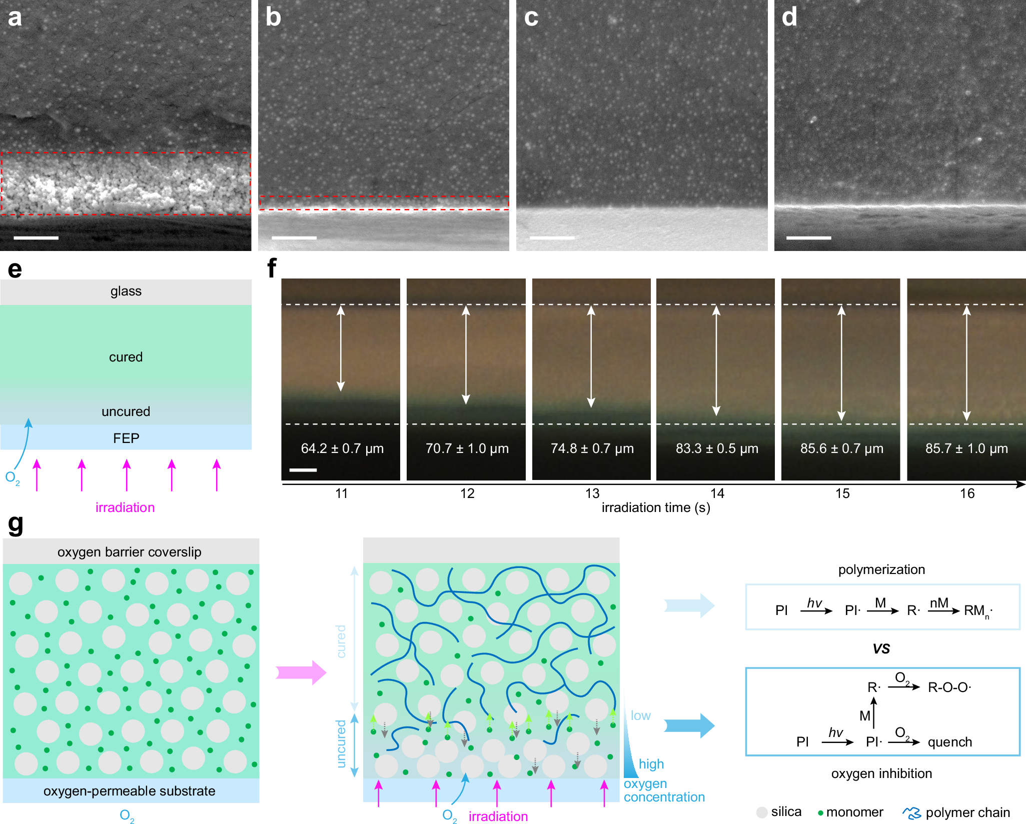 Fig. 2: The nanoparticle segregation mechanism.