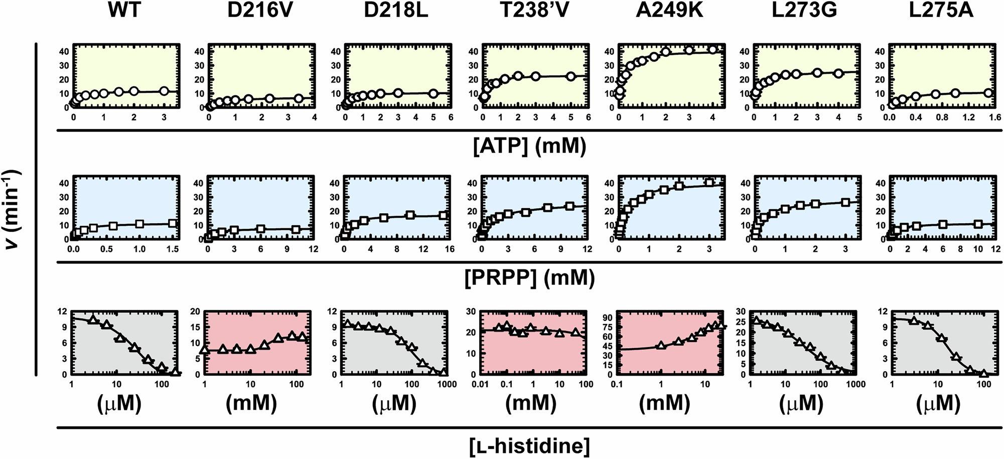 Fig. 2: Michaelis-Menten and allosteric kinetics for ATP-PRT variants.