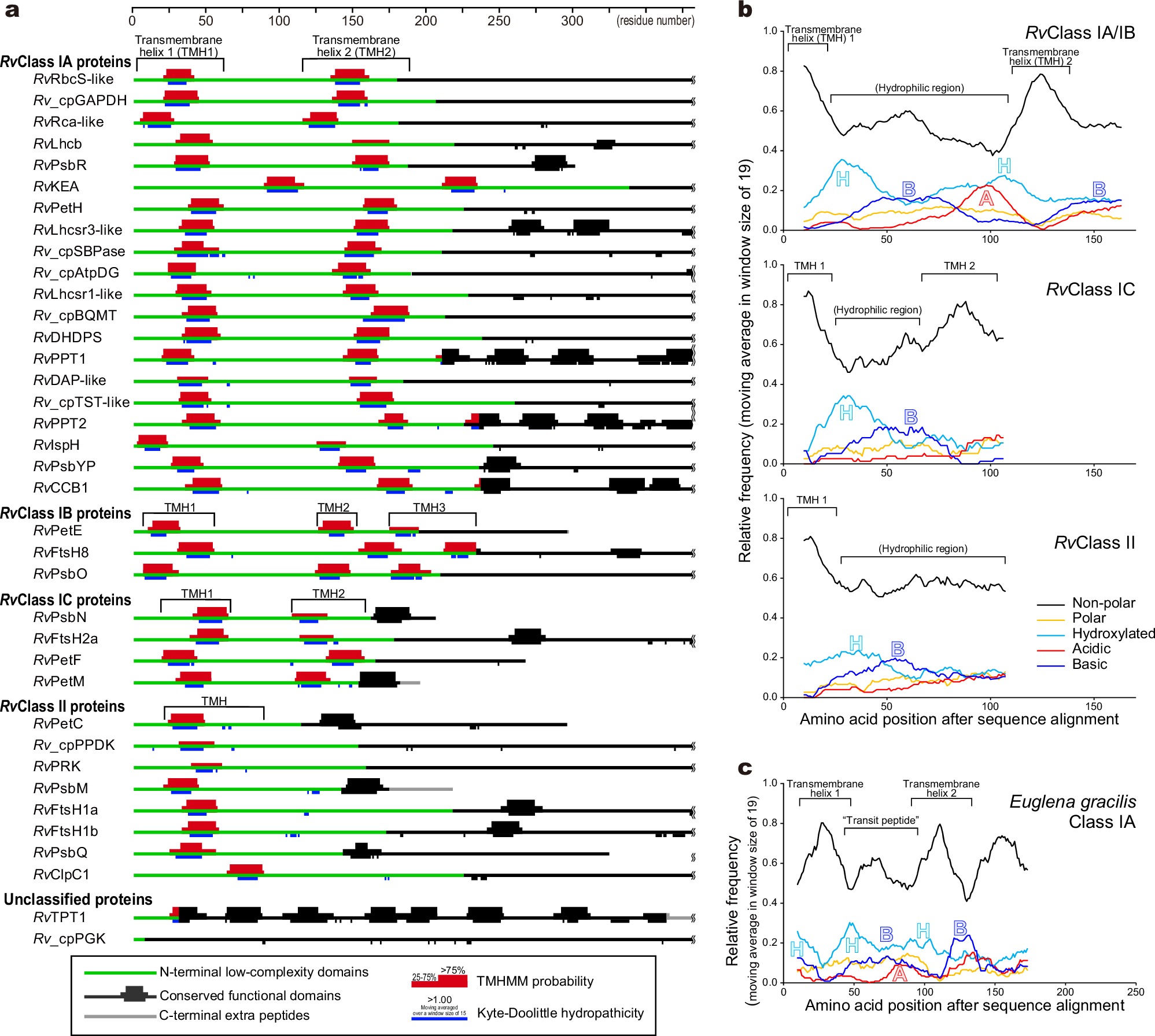 Fig. 6: Characterization of the NtLCDs in putative kleptoplast-targeted proteins.