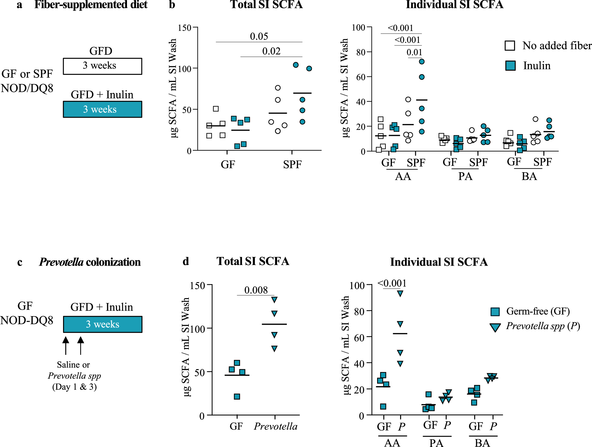 Fig. 5: SPF and gnotobiotic mice colonized with Prevotella spp produce SCFA from inulin in vivo.