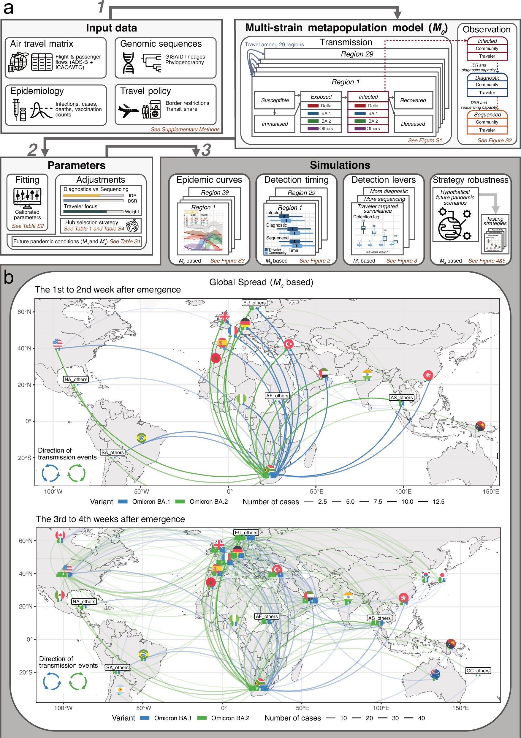 パンデミック早期検出のためのウイルス変異株追跡フレームワークを開発（Scalable framework for tracking viral variants optimizes resources for early detection of pandemics）