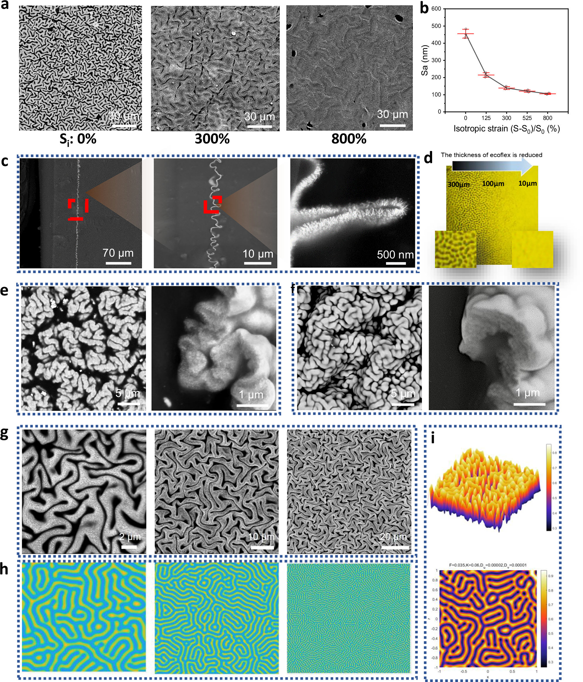 Fig. 3: Investigation into the exceptional properties of BdMI.