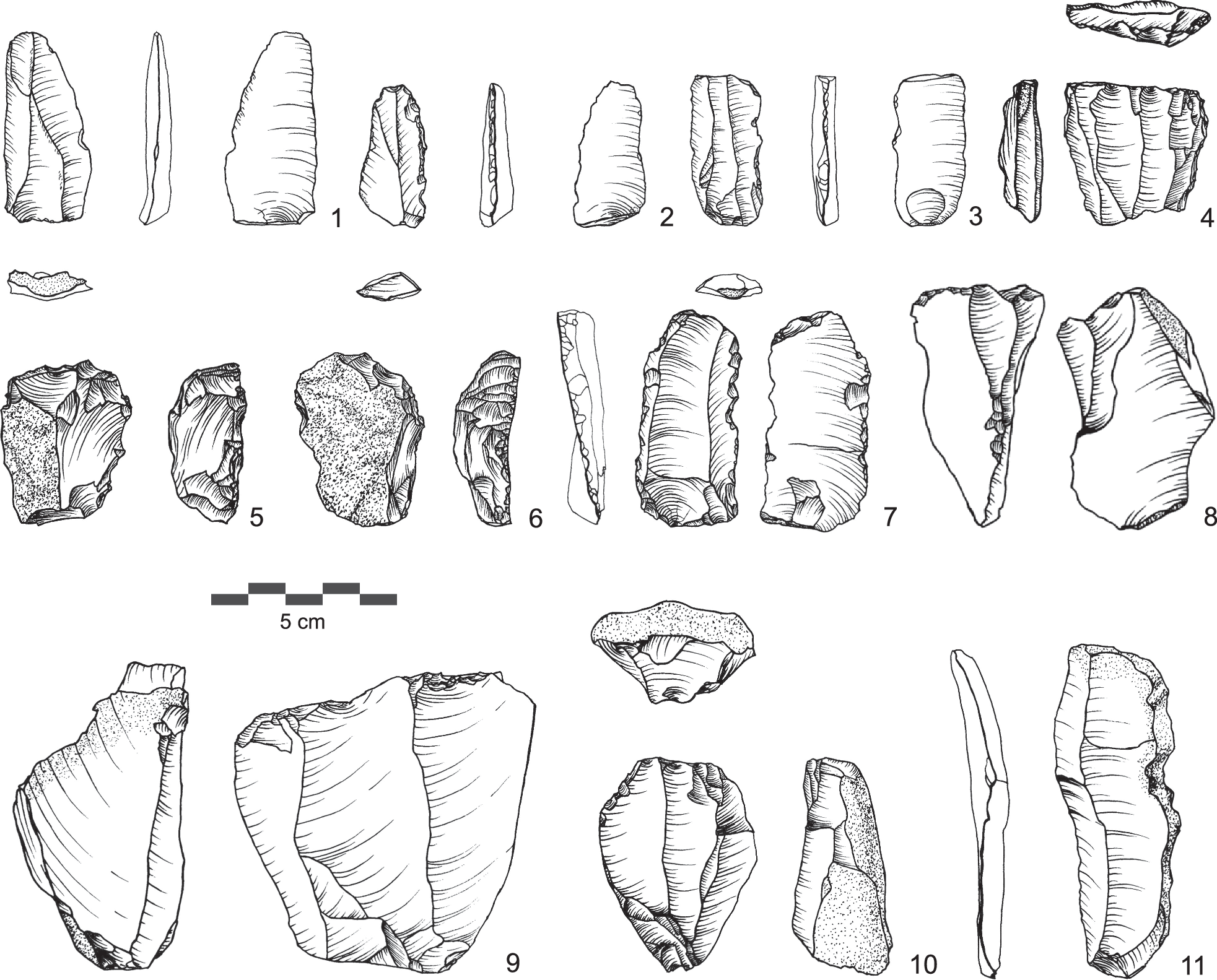 Fig. 6: Examples of lithic artifacts from AH Ia.