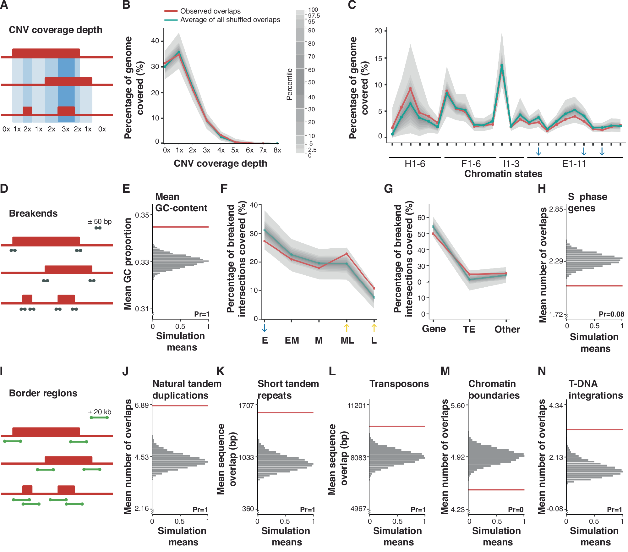 Fig. 4: Association of duplications arising in tsk-4 mutants with genomic features.