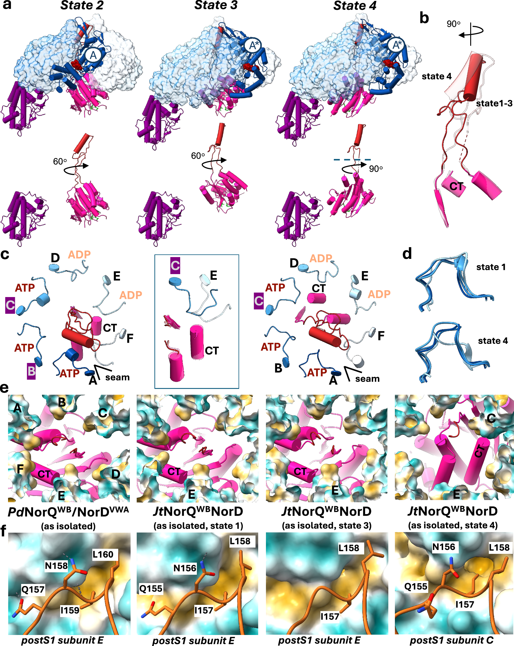 Fig. 4: Conformational dynamics in the JtNorQWBNorD dataset.