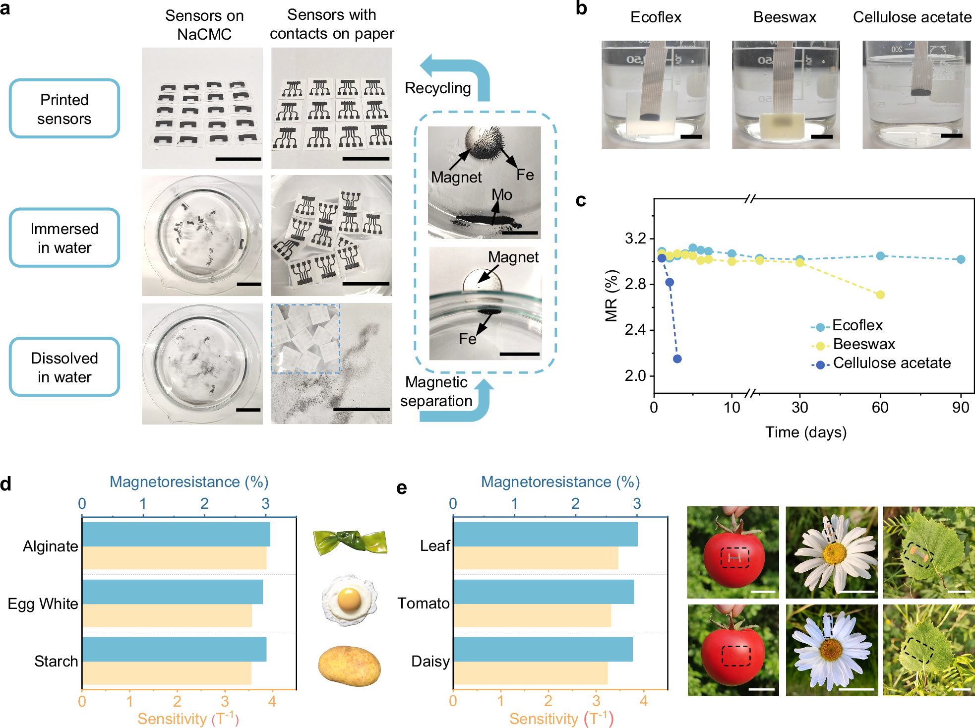 Fig. 2: Eco-friendly recycling and biodegradability of the printed Fe/Fe3O4-NaCMC MR sensors.