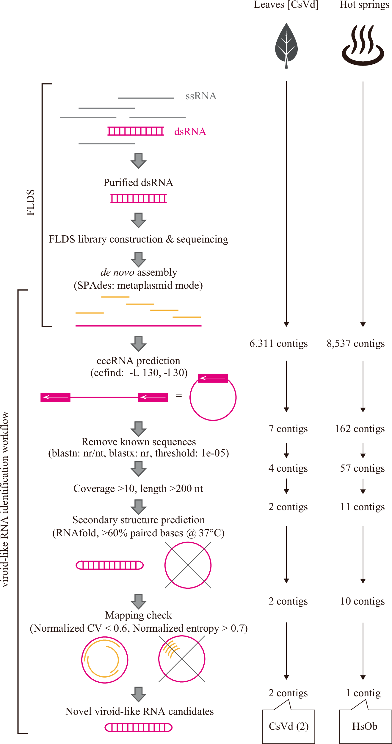 Identification of hot spring Obelisk-like RNA replicons and 