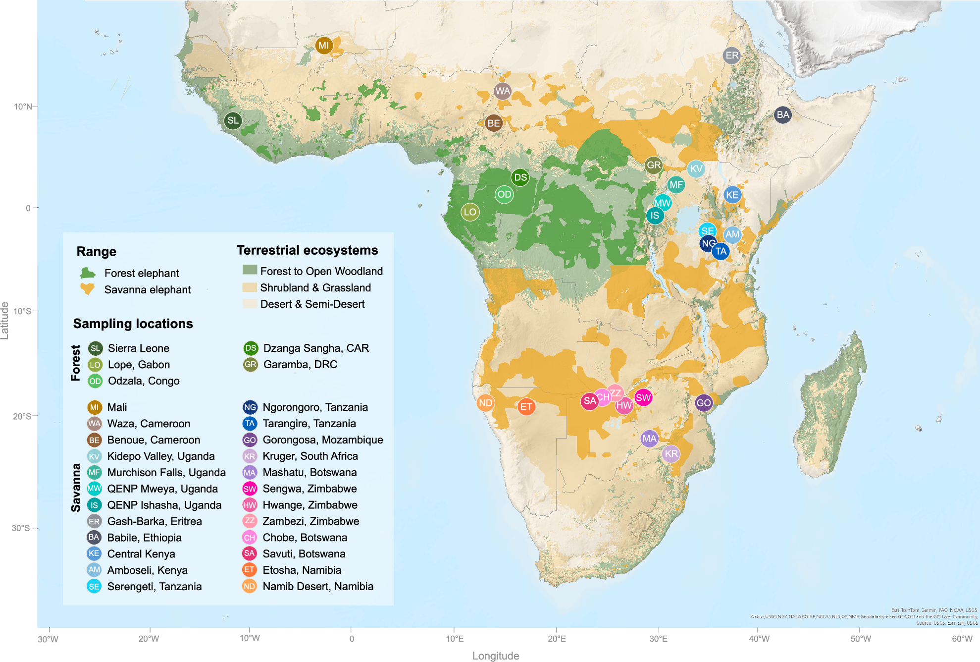 ゾウのゲノム解析が大陸間の連結性と孤立化の進行を解明（Elephant genomes reveal a past of continental connectivity and a future of increasing isolation）