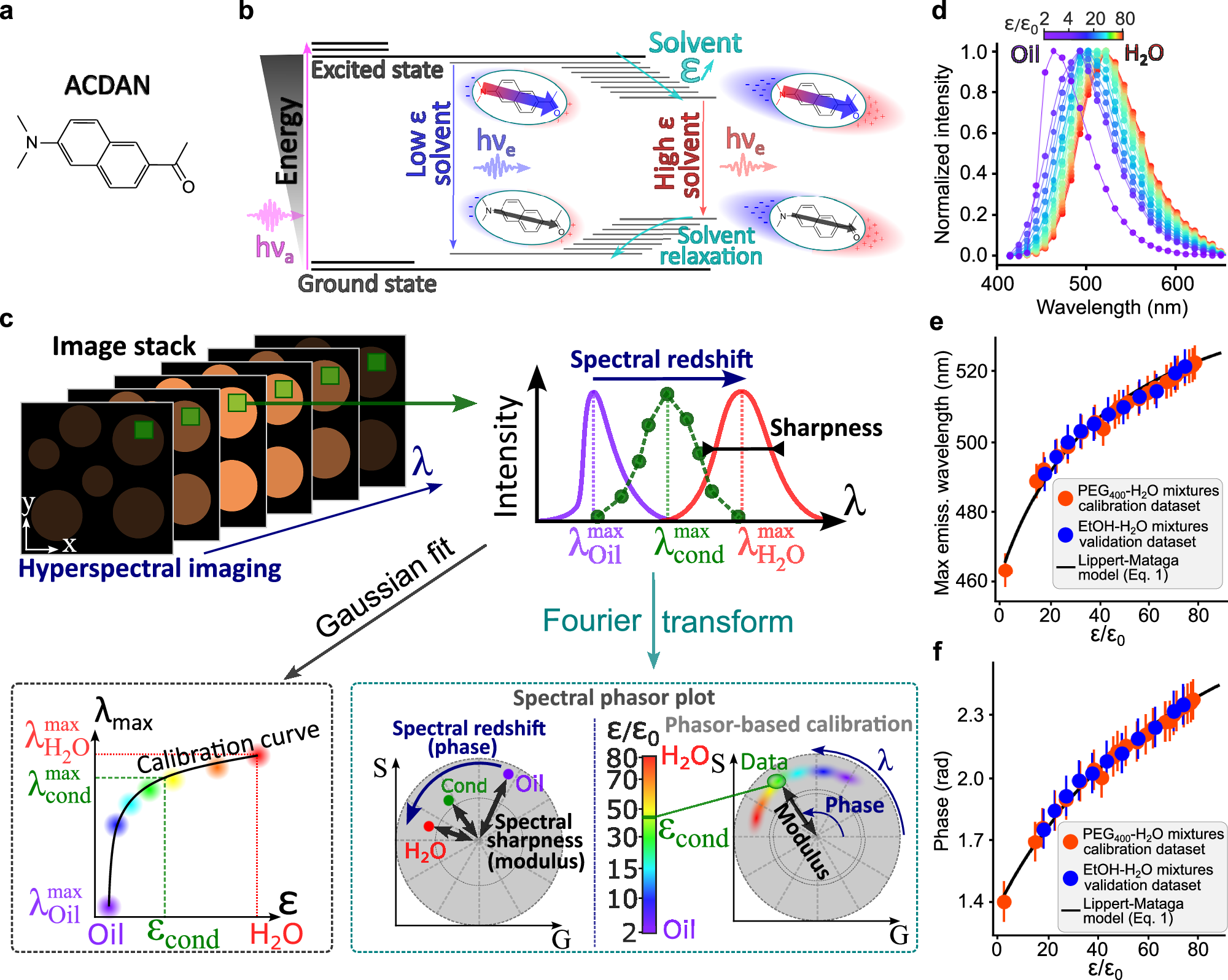 Fig. 1: ACDAN hyperspectral imaging enables spatial mapping of dielectric permittivity with pixel resolution.
