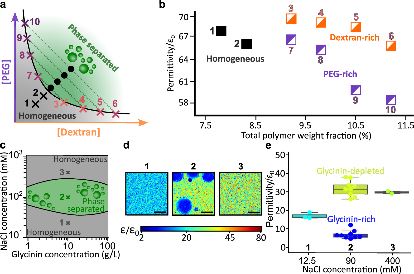 Fig. 3: Dielectric permittivity mapping of coexisting phases across PEG-dextran and glycinin phase diagrams.