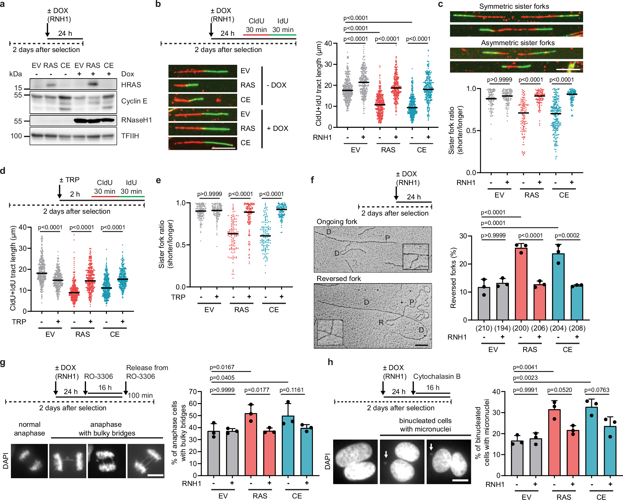 wat does a bac of7 com.208 Sequence alignment of hSMBP and homologous TM9SF proteins from Peugeot e-208 Review 2026 |