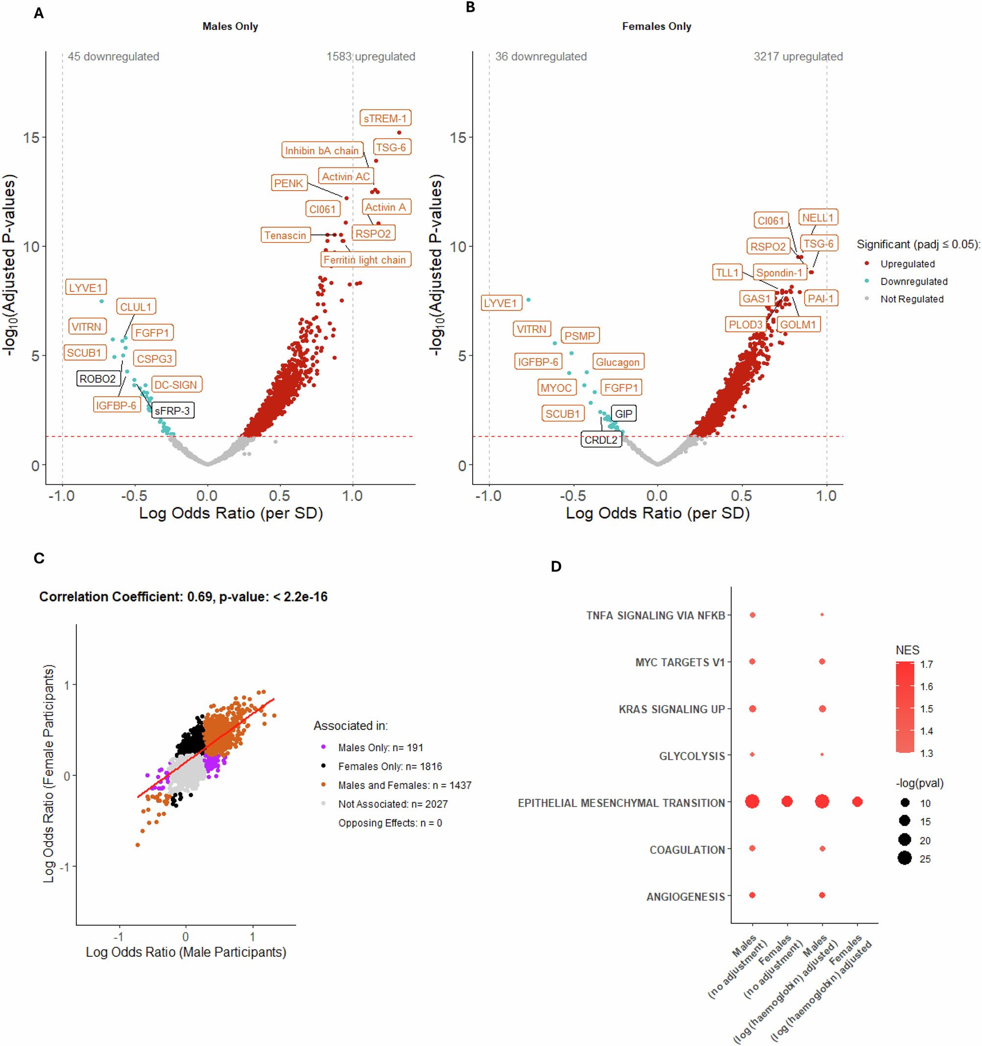 Fig. 4: Association between protein abundance and radiographic OA severity after stratifying for biological sex in non-IPS regressed Combined data using logistic regression modelling.