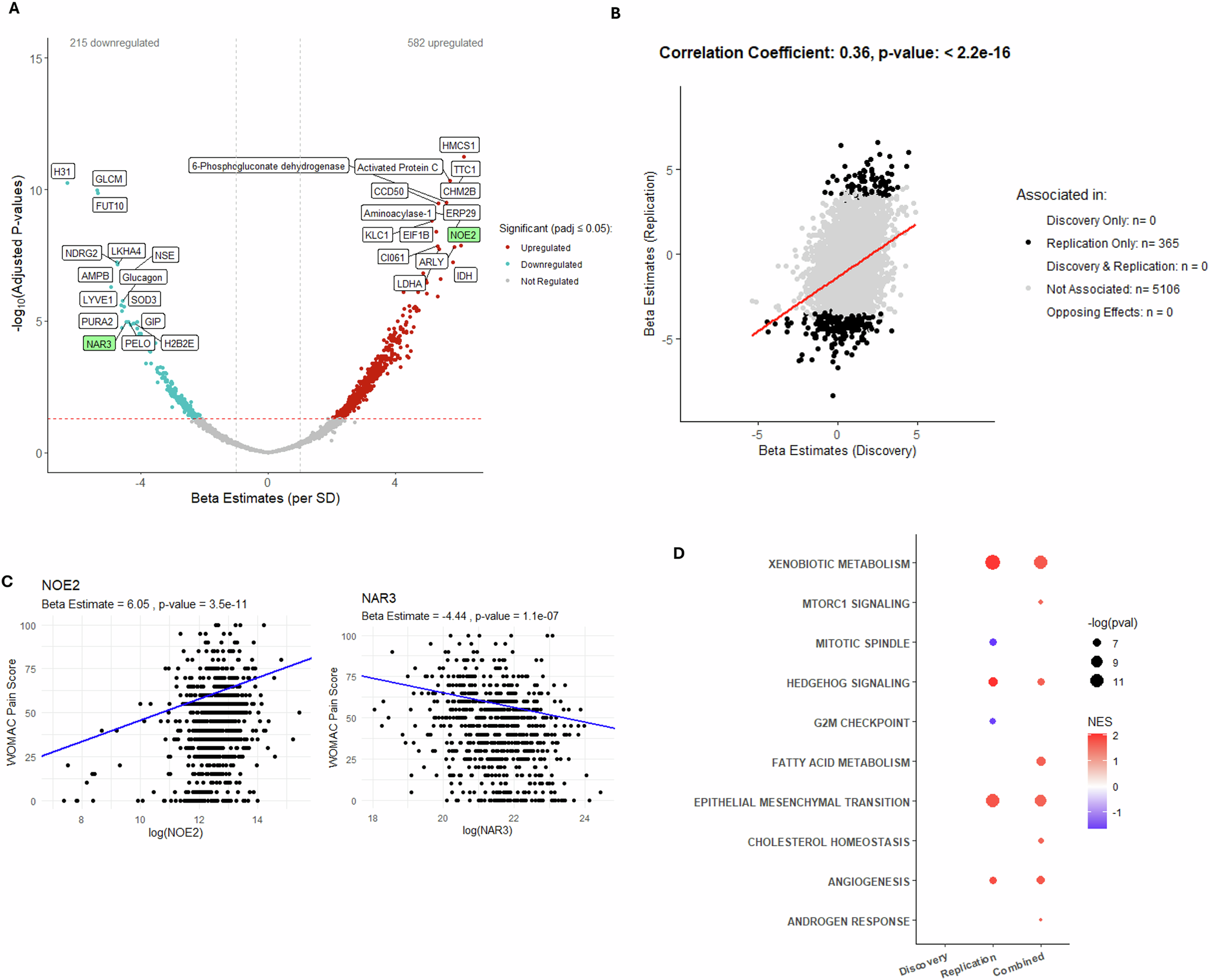 Fig. 5: Association between protein abundance and WOMAC knee pain subscore in non-IPS regressed data using linear regression modelling.