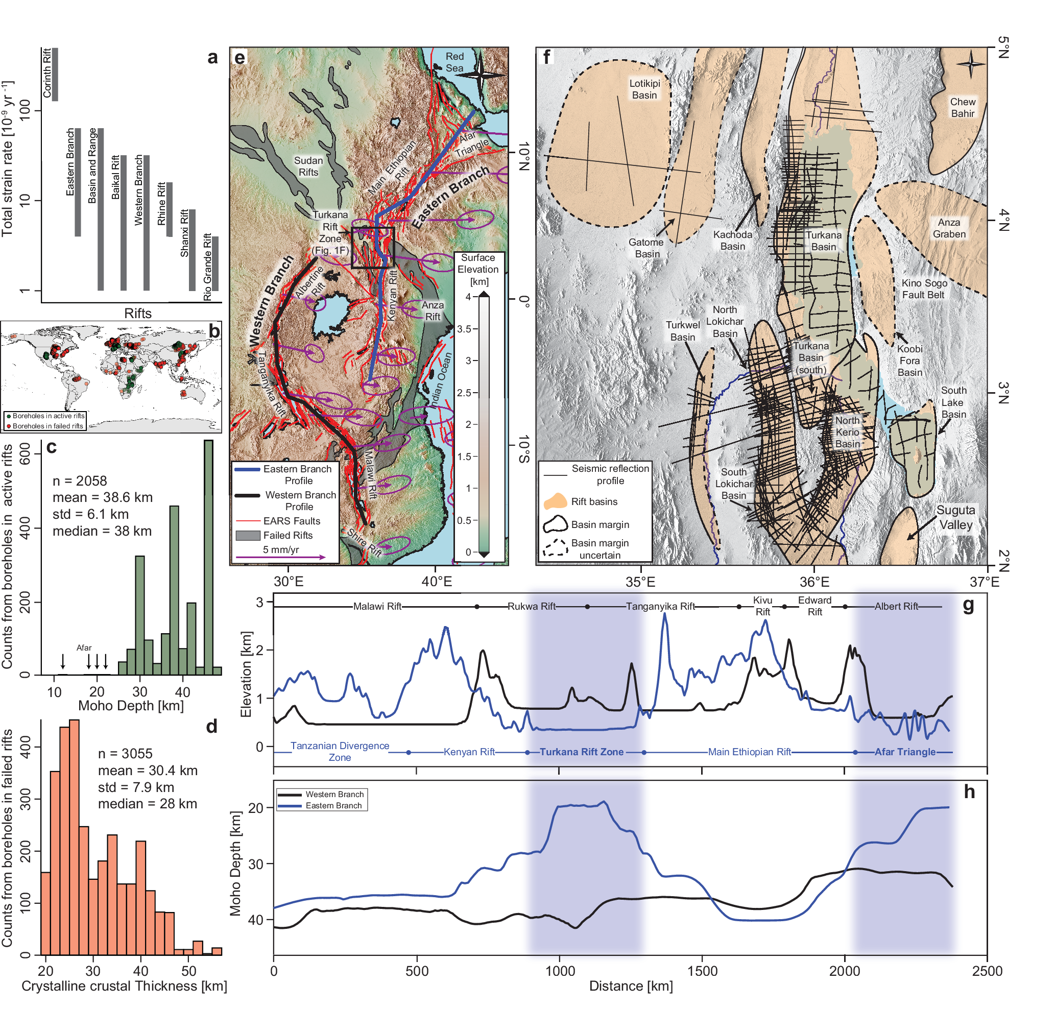東アフリカ地殻の薄化と大陸分裂の兆候 （In Eastern Africa, the Cradle of Humankind Is Tearing Apart）