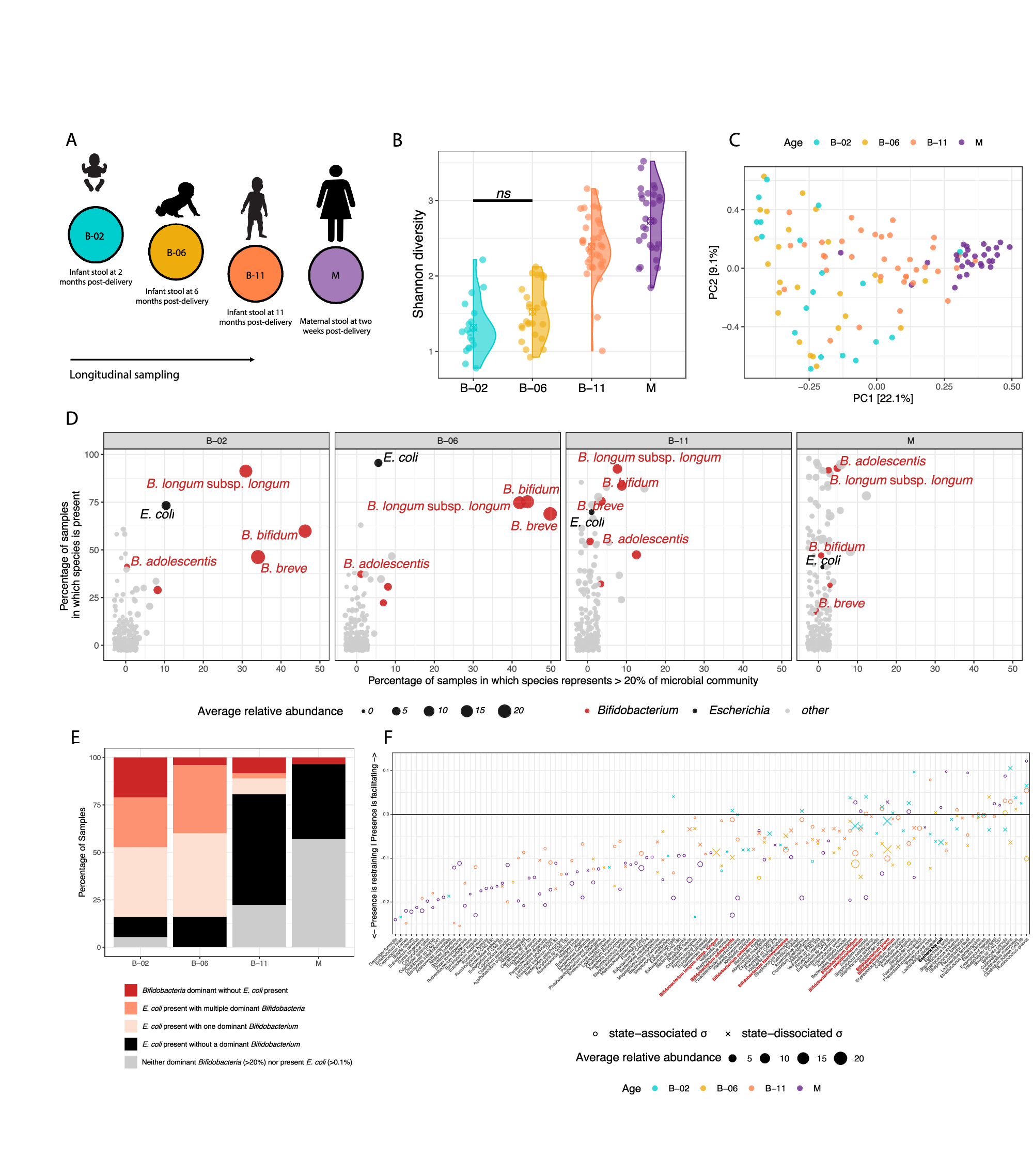 母乳栄養が乳児マイクロバイオームの細菌バランスを調整（Breastfed babies balance bacteria in developing microbiome）