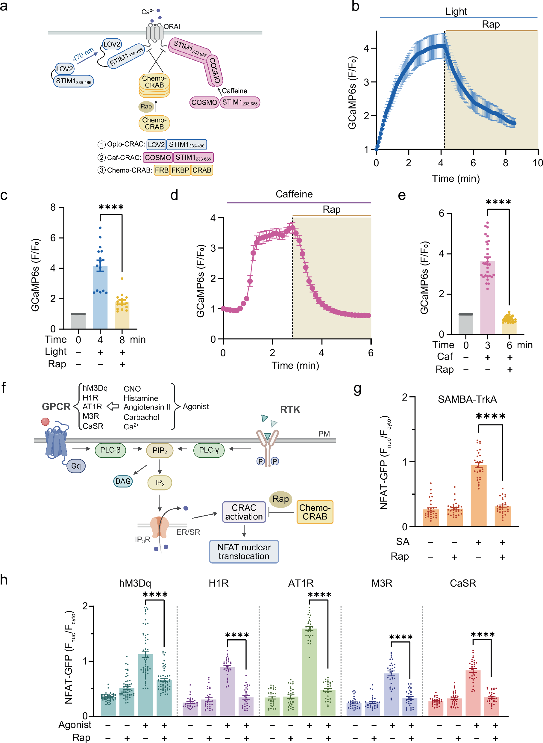 Fig. 6: Use of Chemo-CRAB to suppress Ca2+ signaling downstream of GPCRs and RTKs.