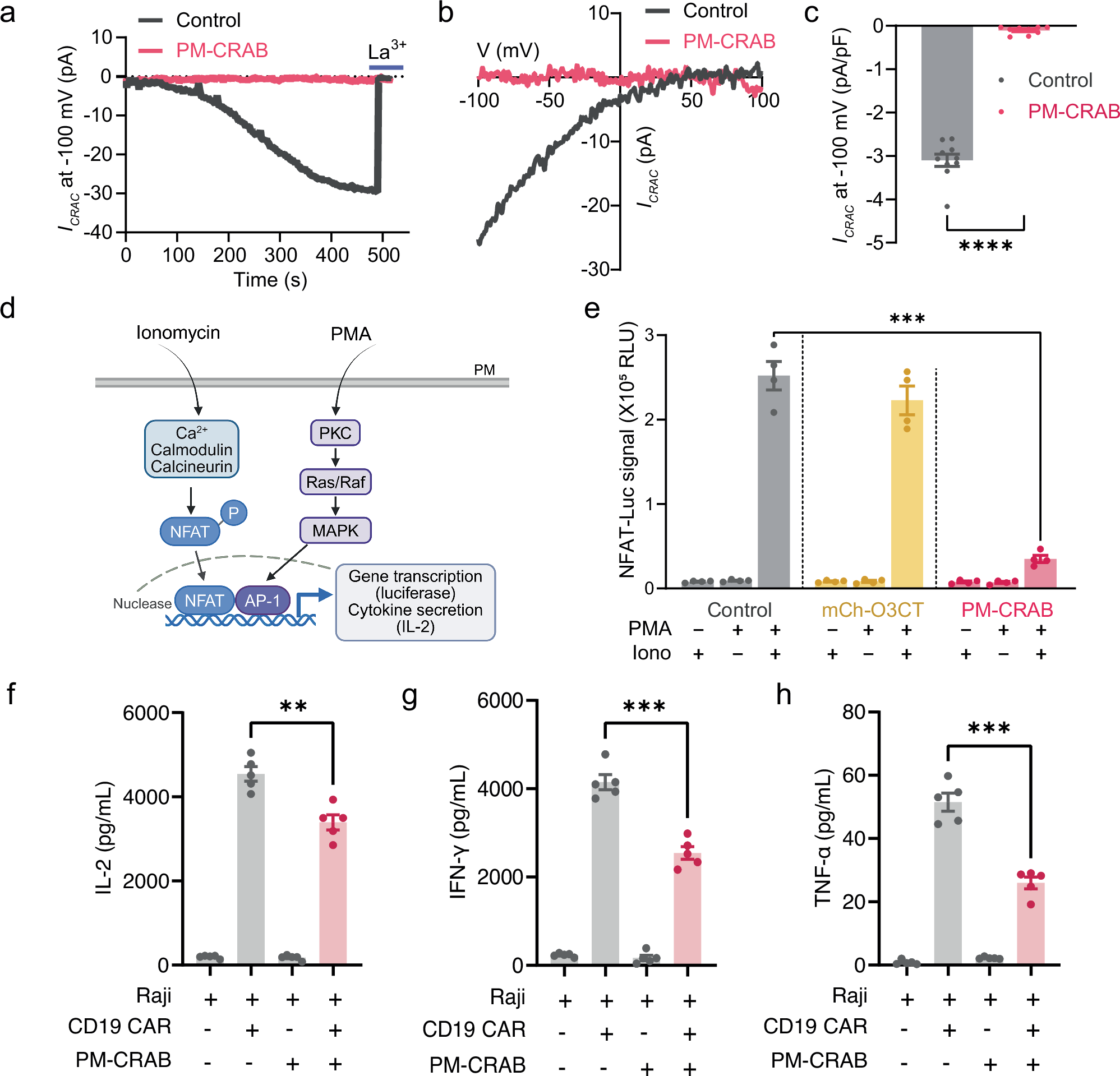 Fig. 7: Chemo-CRAB enables chemogenetic immunomodulation.