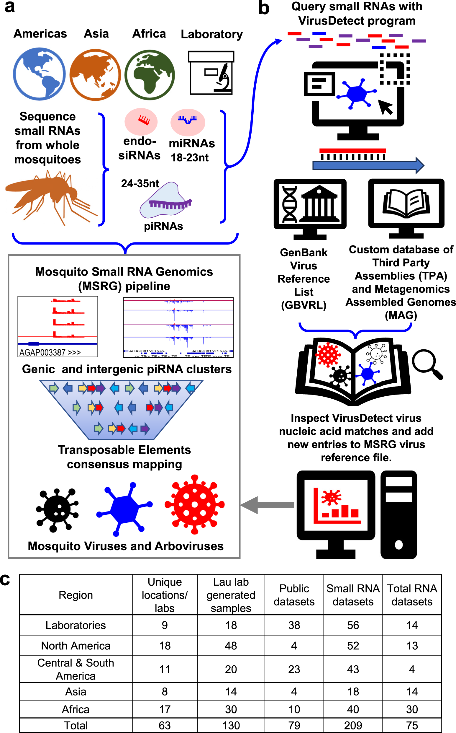 Fig. 1: A mosquito small RNA sequencing approach to discover mosquito-host RNA-interference (RNAi) responses to insect viruses.