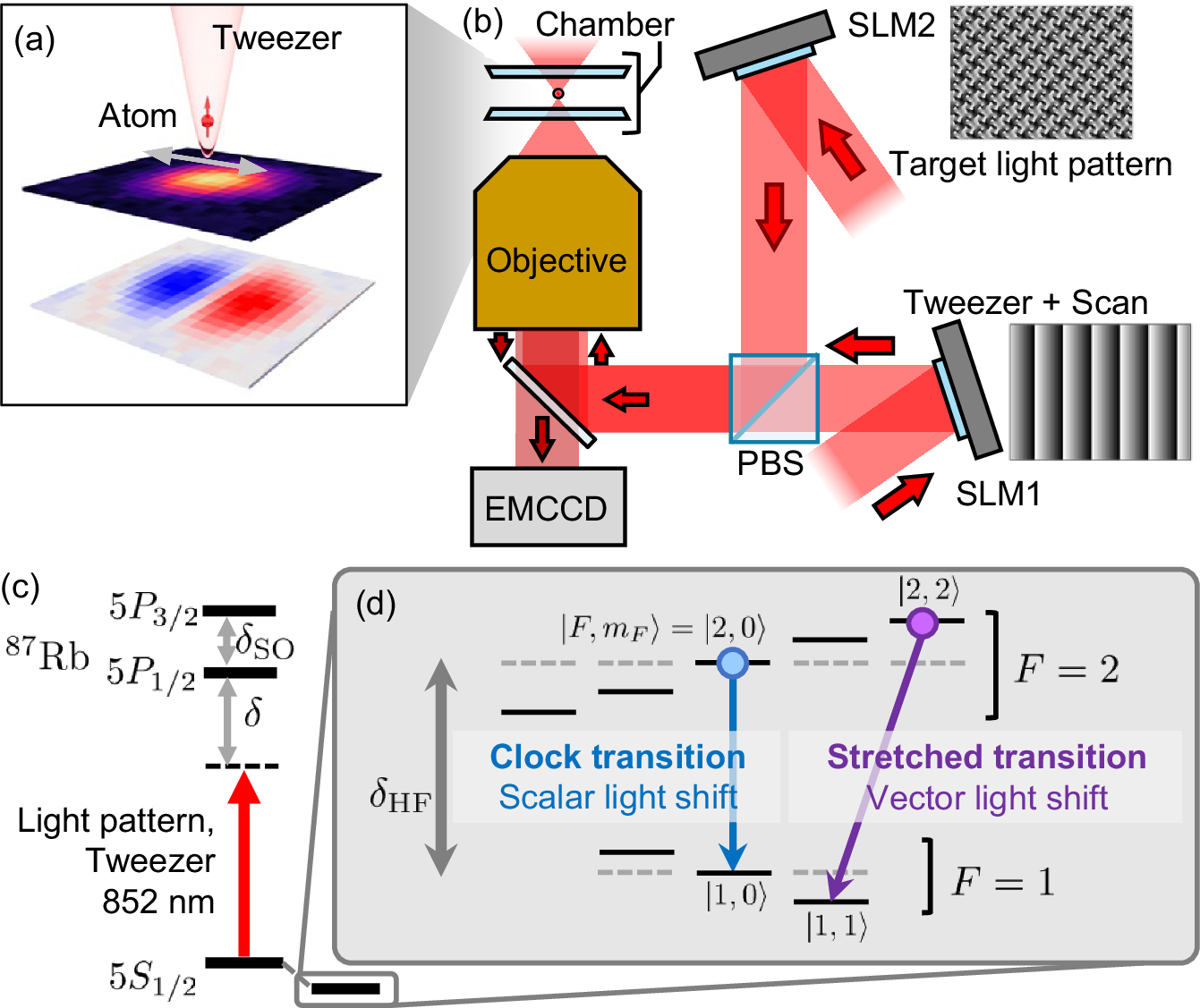 Atom camera: super-resolution scanning microscope of a light 