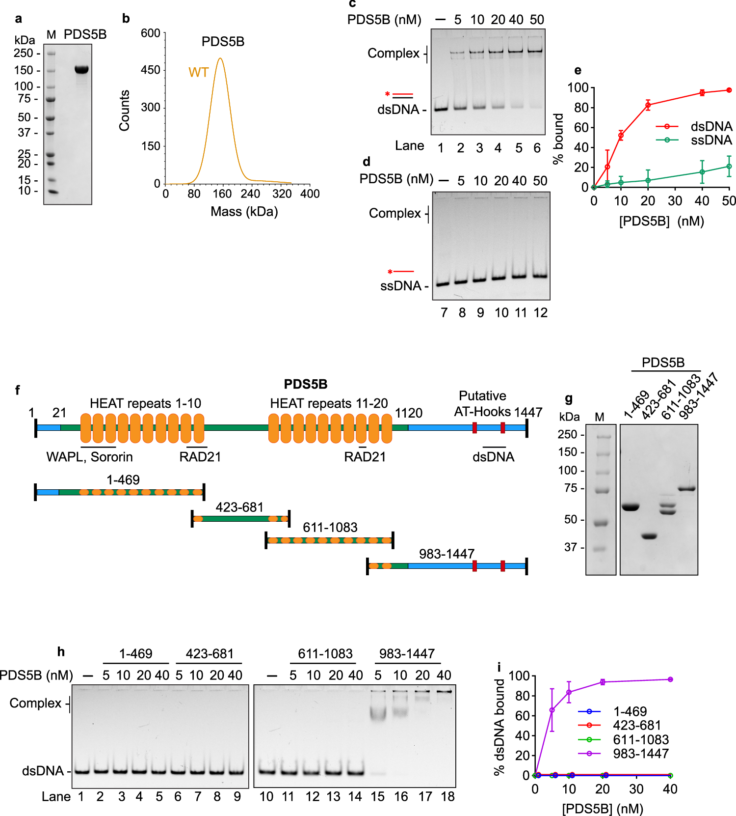 dr kwon ultra glutathione review Dr.Ceuracle & NMN Ampoule UbiquitonAn inducible, linkage-specific polyubiquitylation tool: