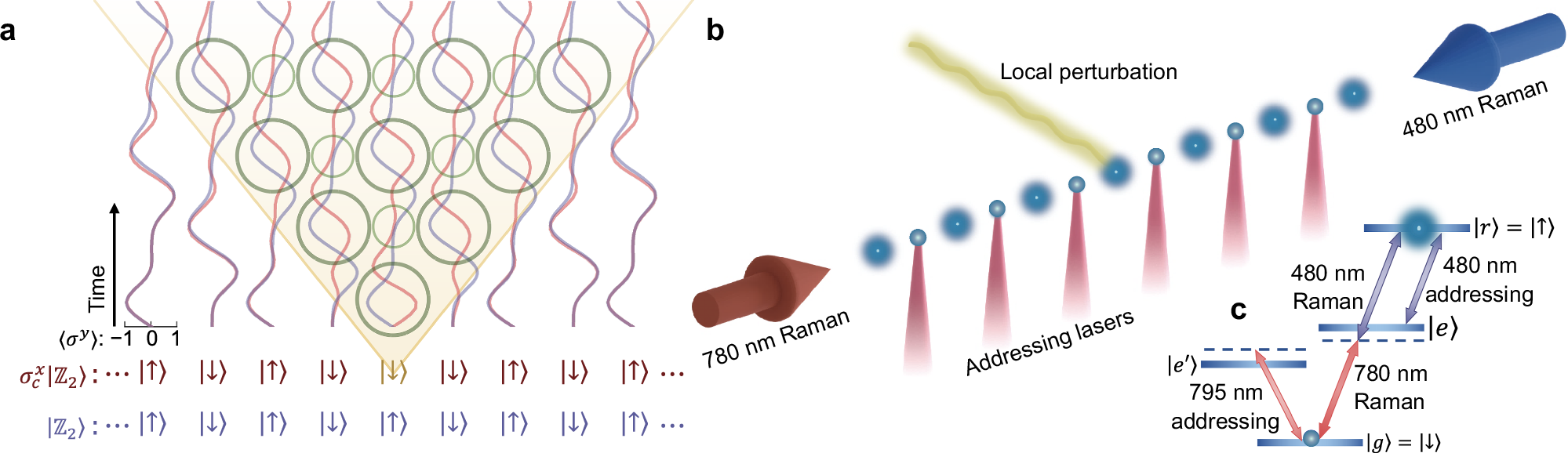 One-dimensional Rydberg atom chain kinetic constraint diagram showing local perturbation propagation