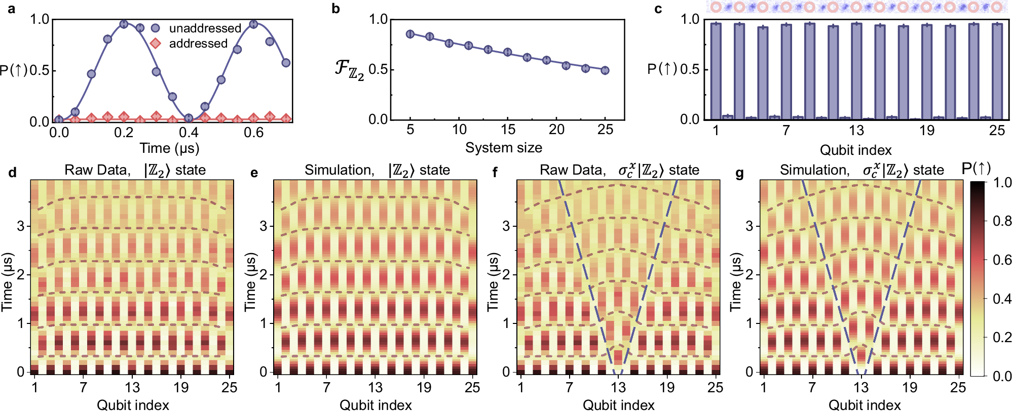 Measured Rydberg atom arrays and experimental quantum control performance on optical tweezer qubits
