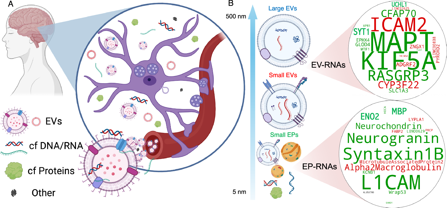 Fig. 7: An overview of the study and findings.