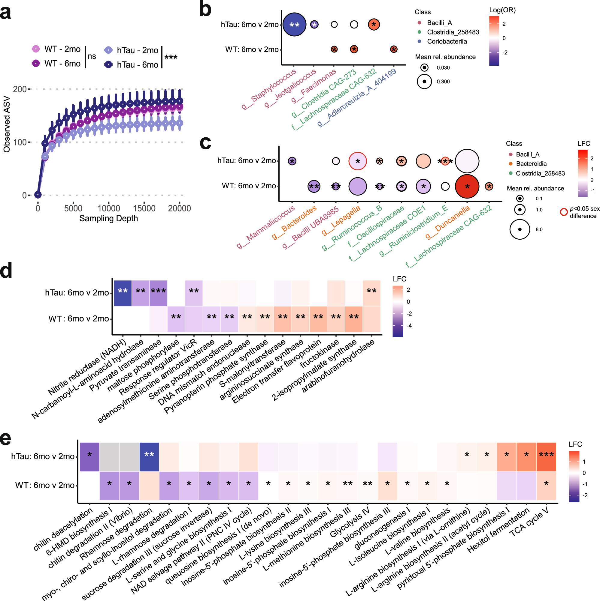Select microbial metabolites promote tau aggregation in a murine tauopathy model
