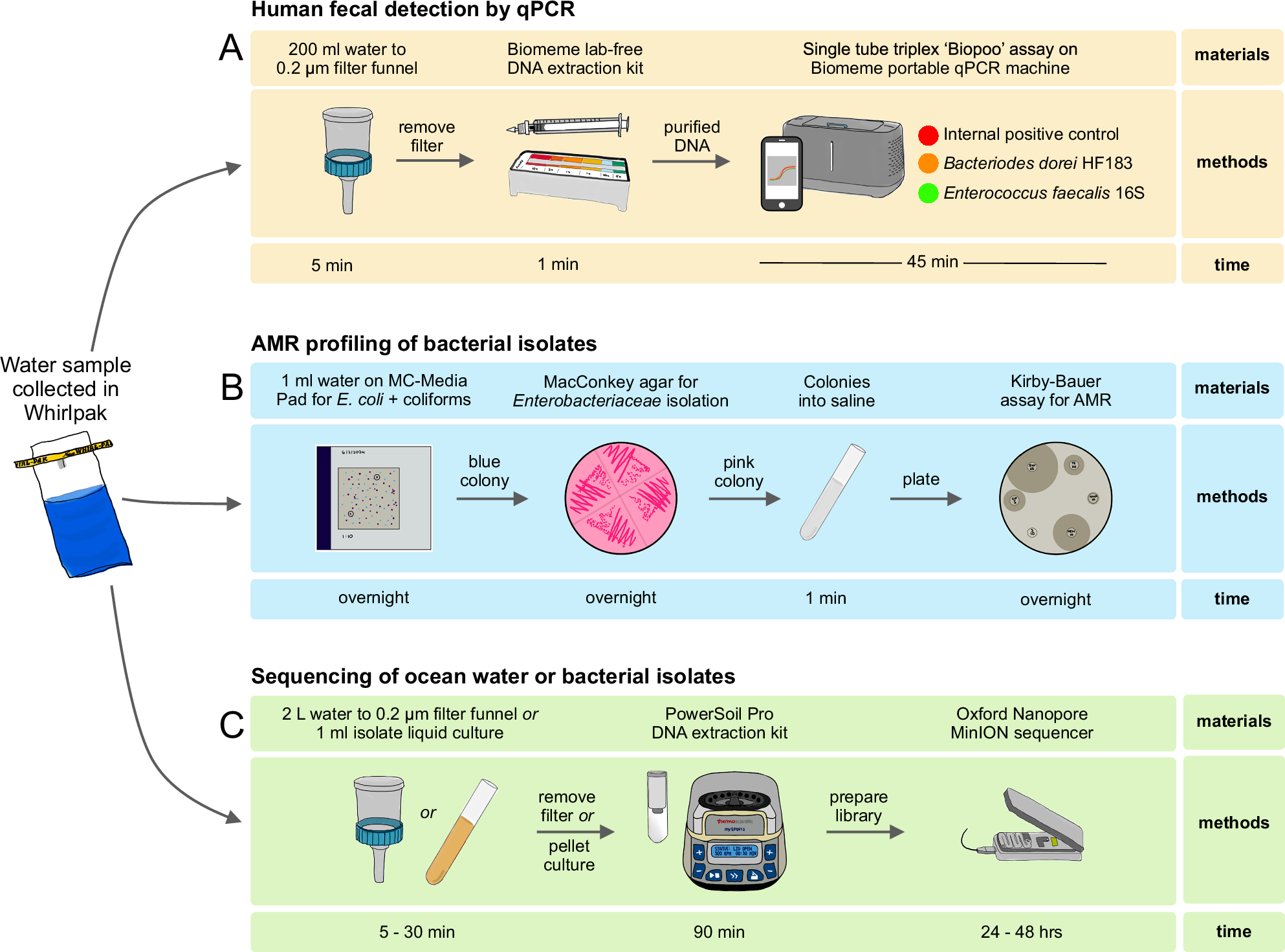 Human wastewater contamination drives the emergence of multidrug-resistant bacteria in the Galápagos marine ecosystem