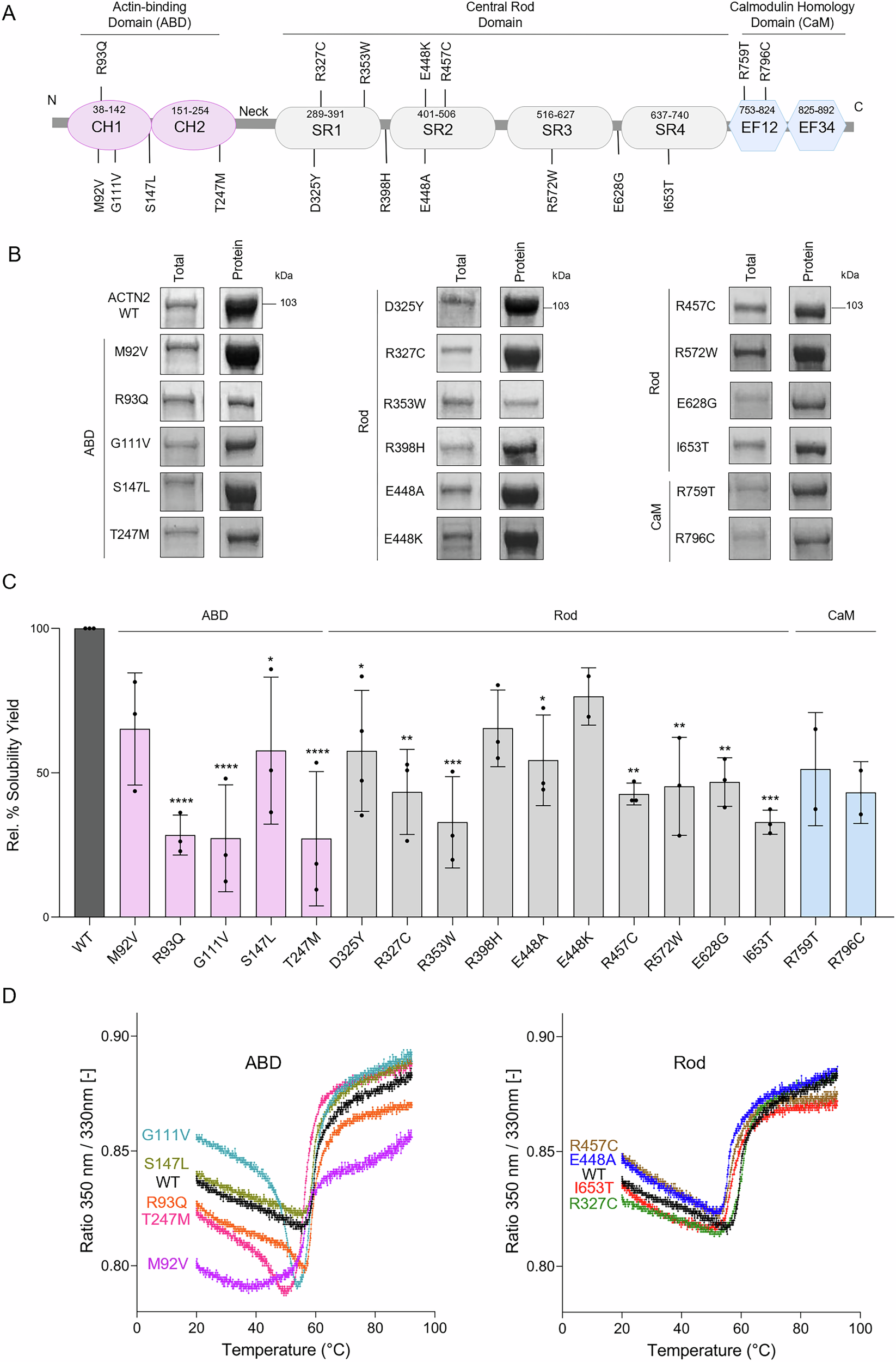 突然心臓死につながる疾患に関連する遺伝子変異を特定（Cardiac condition has linked genetic variations）