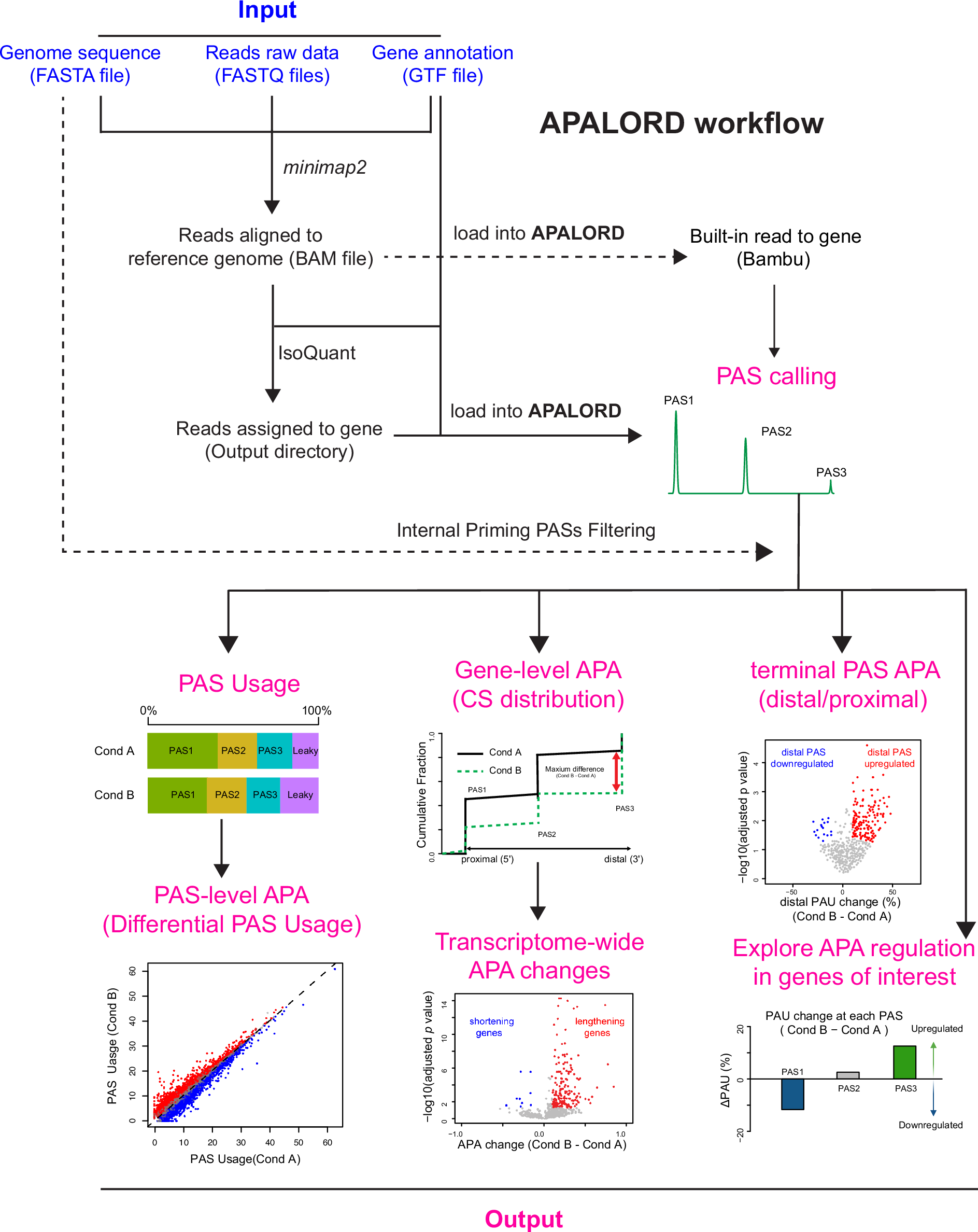 Fig. 1: APALORD workflow.