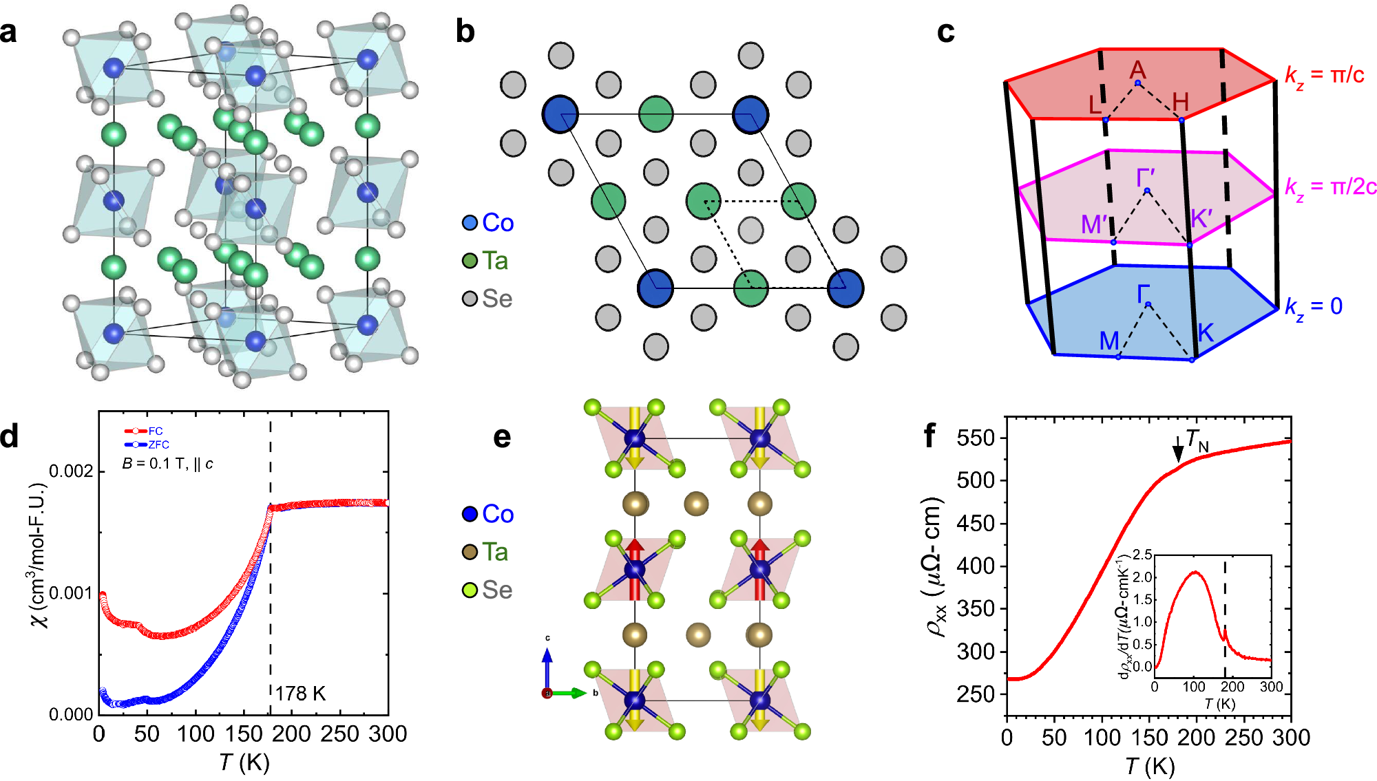 Photograph accompanying Spin-resolved photoemission finds altermagnetic signatures in a layered cobalt compound