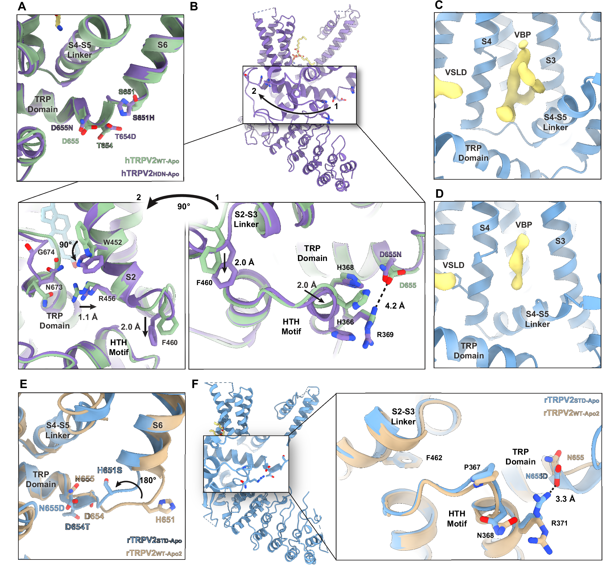 Fig. 5: Conformational changes caused by the HDN-STD swap.