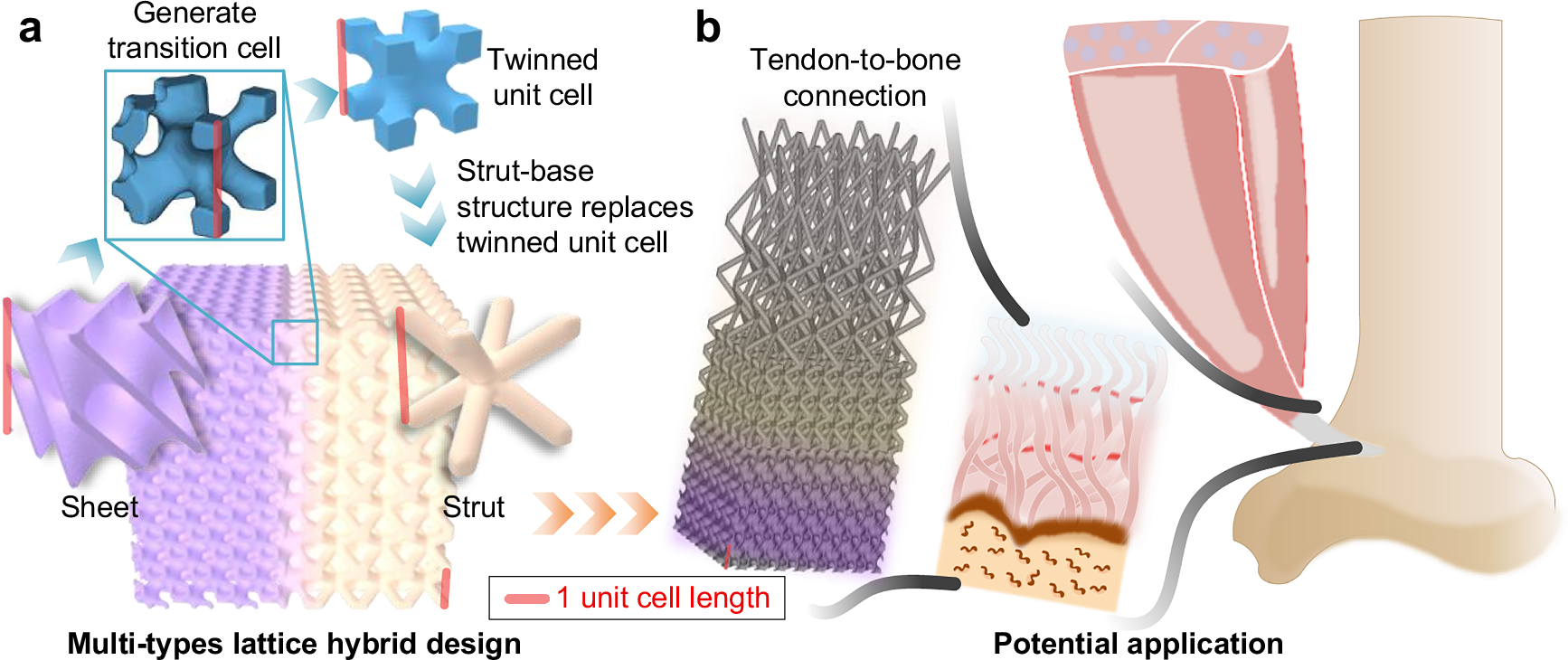 新しいメタマテリアル設計により、自然界でも特に強靭な接合構造を再現（New metamaterial design recreates one of nature&rsquo;s toughest connections） を選択 新しいメタマテリアル設計により、自然界でも特に強靭な接合構造を再現（New metamaterial design recreates one of nature&rsquo;s toughest connections）