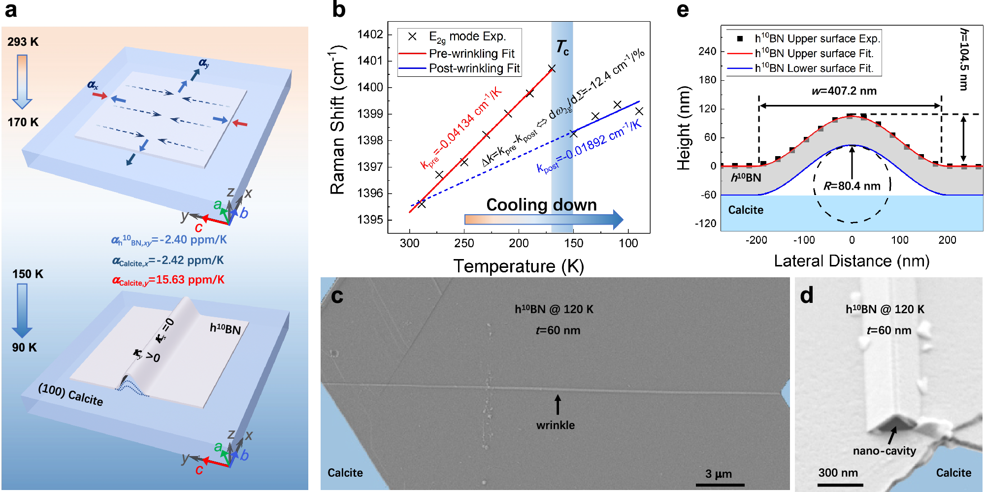 Diagram and microscopy showing a hexagonal boron nitride sheet buckling into a nano-wrinkle on calcite as it cools