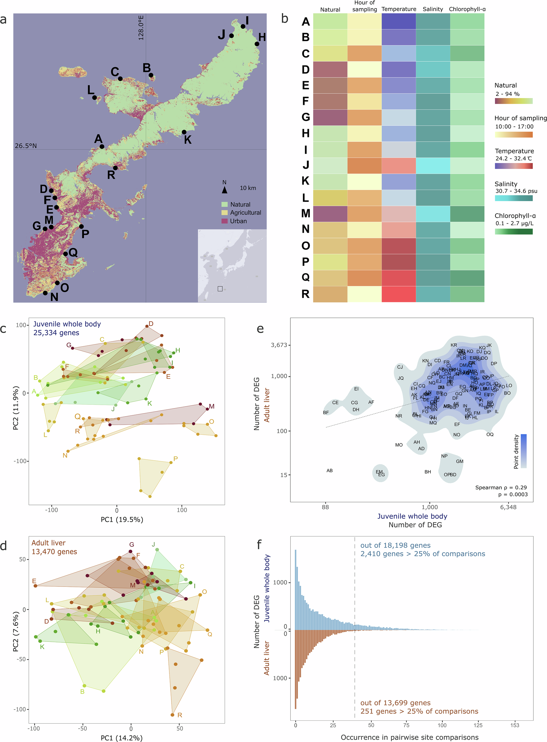 沿岸部の都市化は魚類の生理機能を阻害する（Coastal urbanisation disrupts fish physiology）