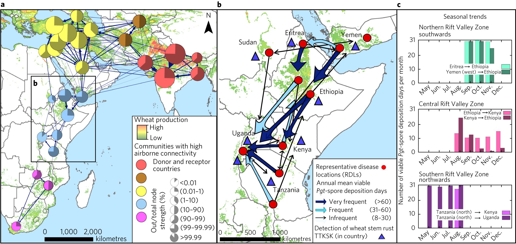 Devastating Wheat Fungus Appears in Asia for the First Time