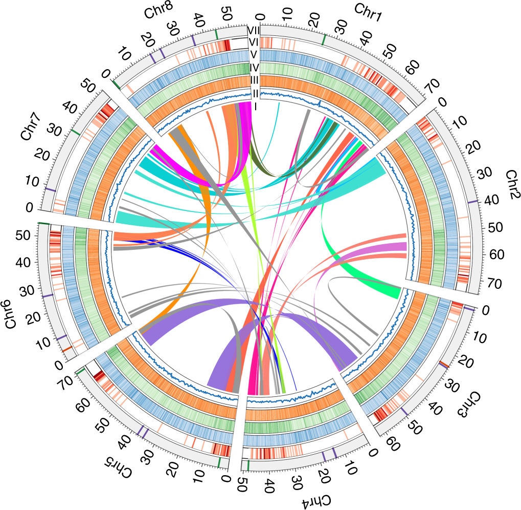 Genome Structure And Evolution Of Antirrhinum Majus L Nature Plants