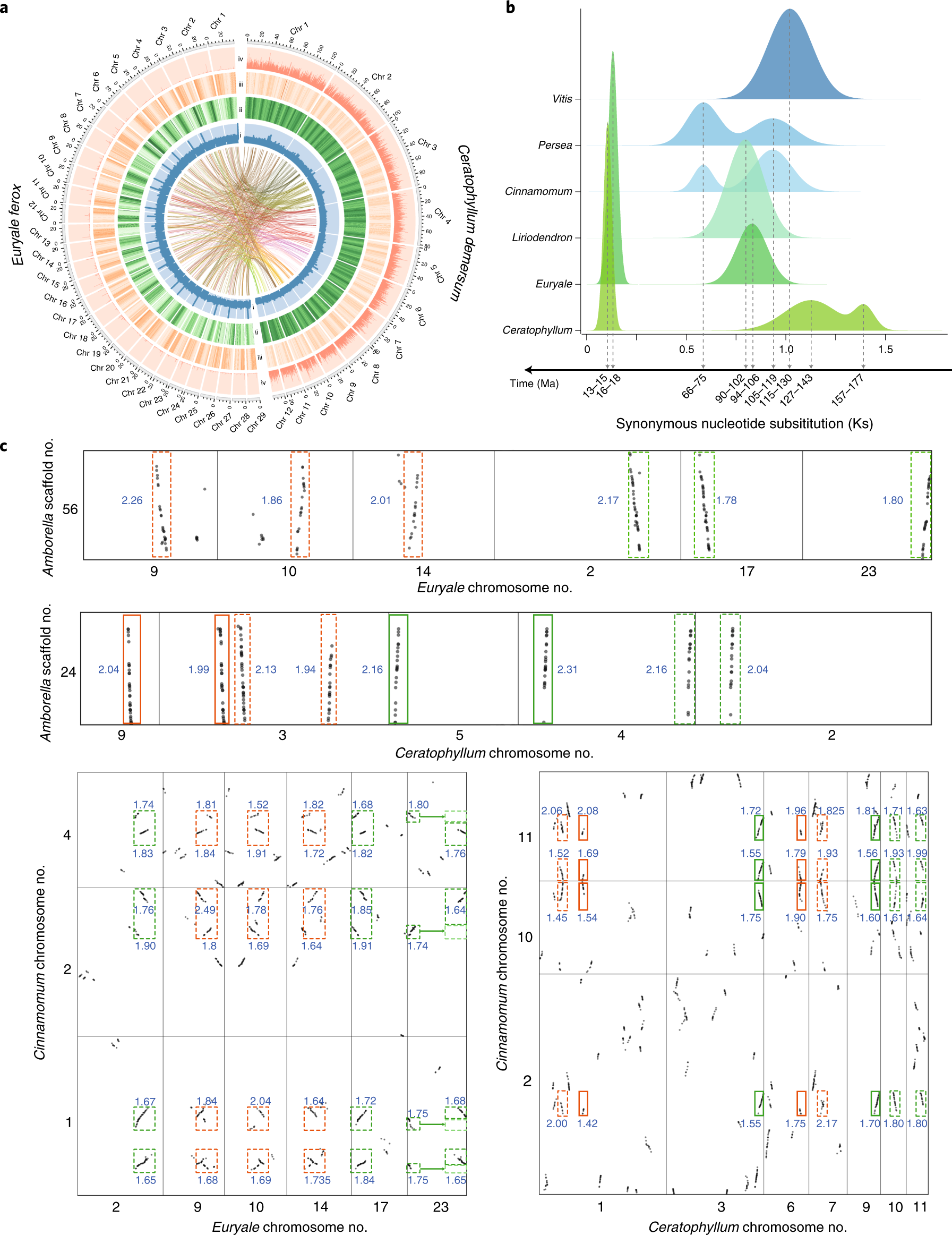 Fig. 1: Comparative genomics analyses.