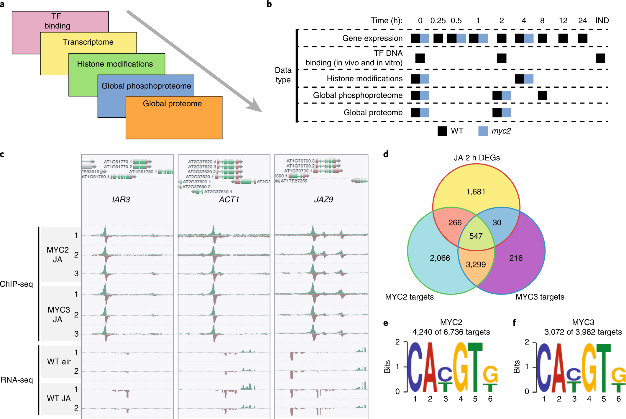 Integrated multi-omics framework of the plant response to jasmonic acid |  Nature Plants