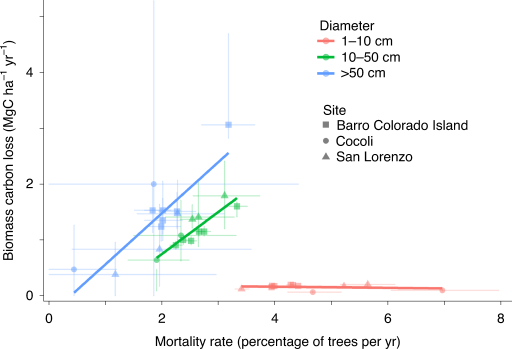 Implications of size-dependent tree mortality for tropical forest carbon  dynamics | Nature Plants
