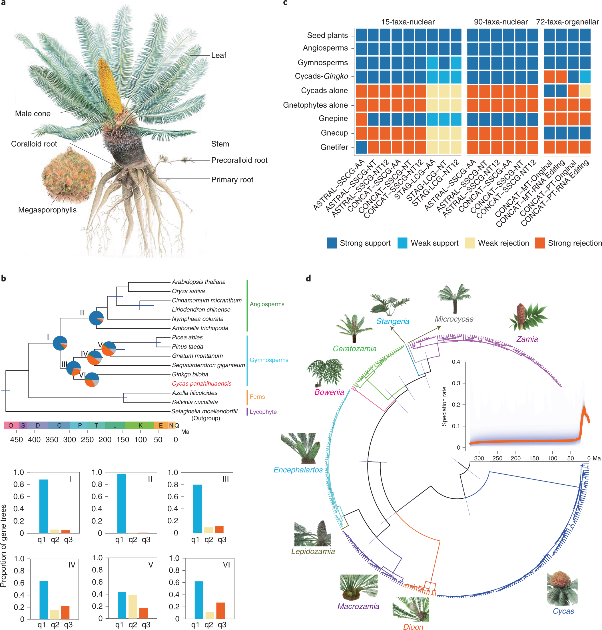 Life Out of Sequence: A Data-Driven History of Bioinformatics, Stevens