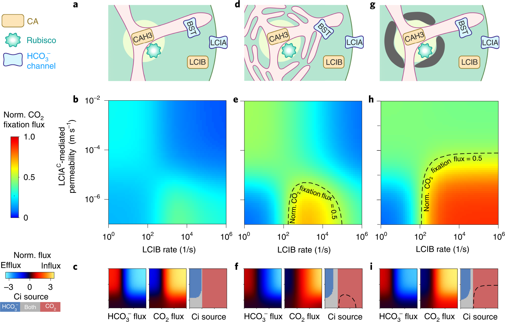 Fig. 2: Barriers to CO2 diffusion out of the pyrenoid matrix enable an effective PCCM driven only by intercompartmental pH differences.