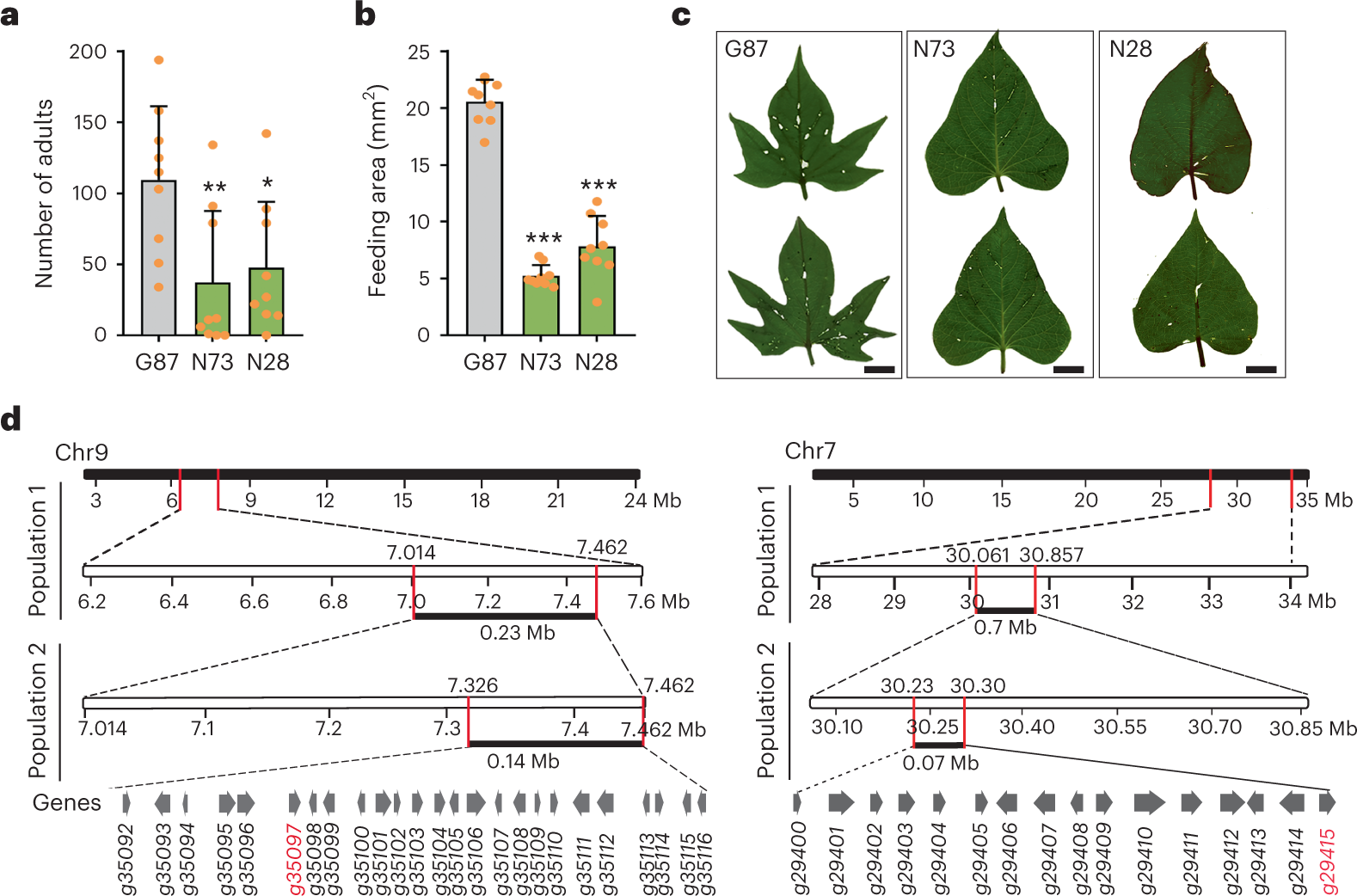 Natural allelic variation confers high resistance to sweet potato weevils  in sweet potato | Nature Plants