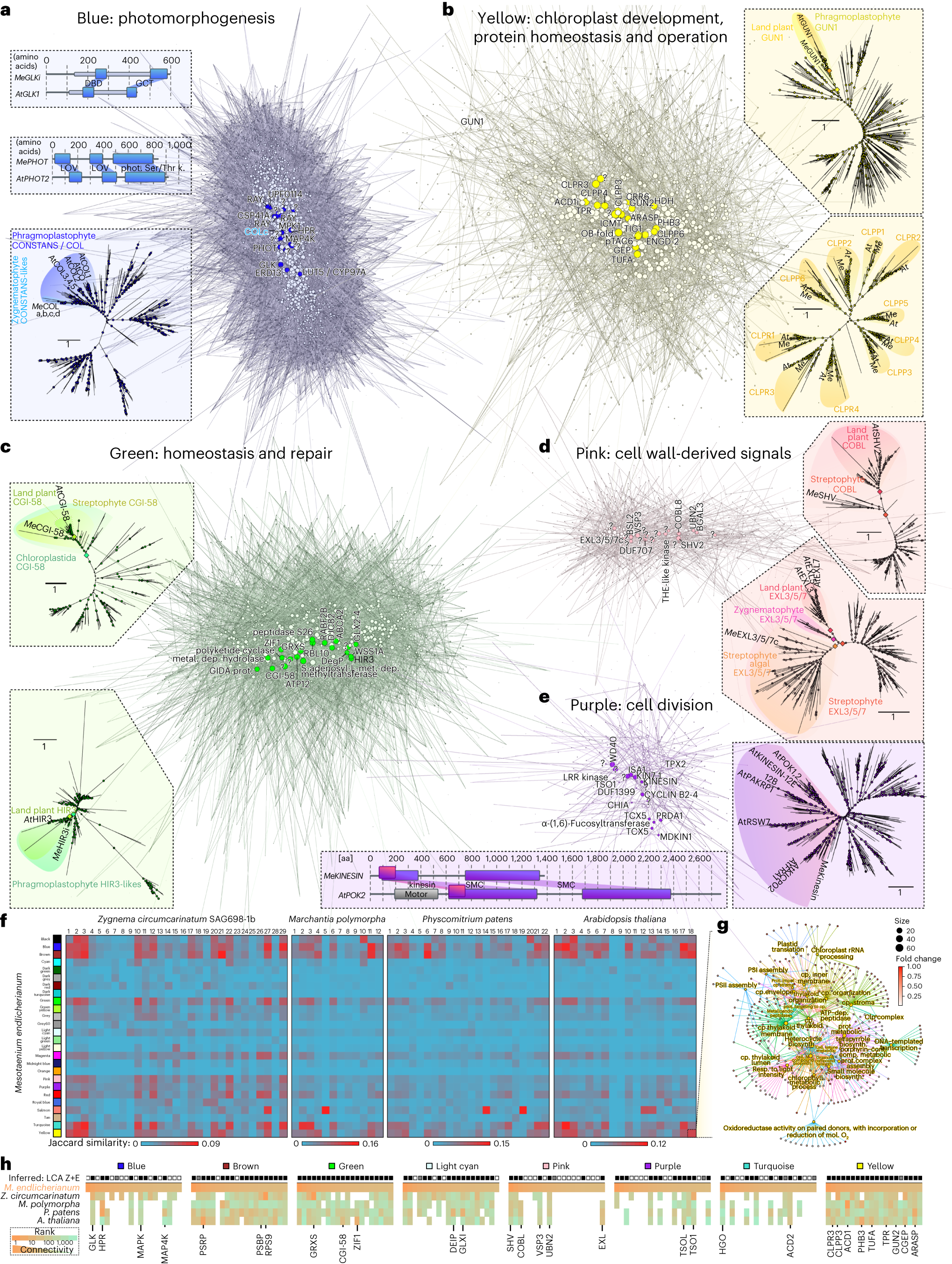 Fig. 5: Molecular programmes for environmental responses around recurrent plant hubs.